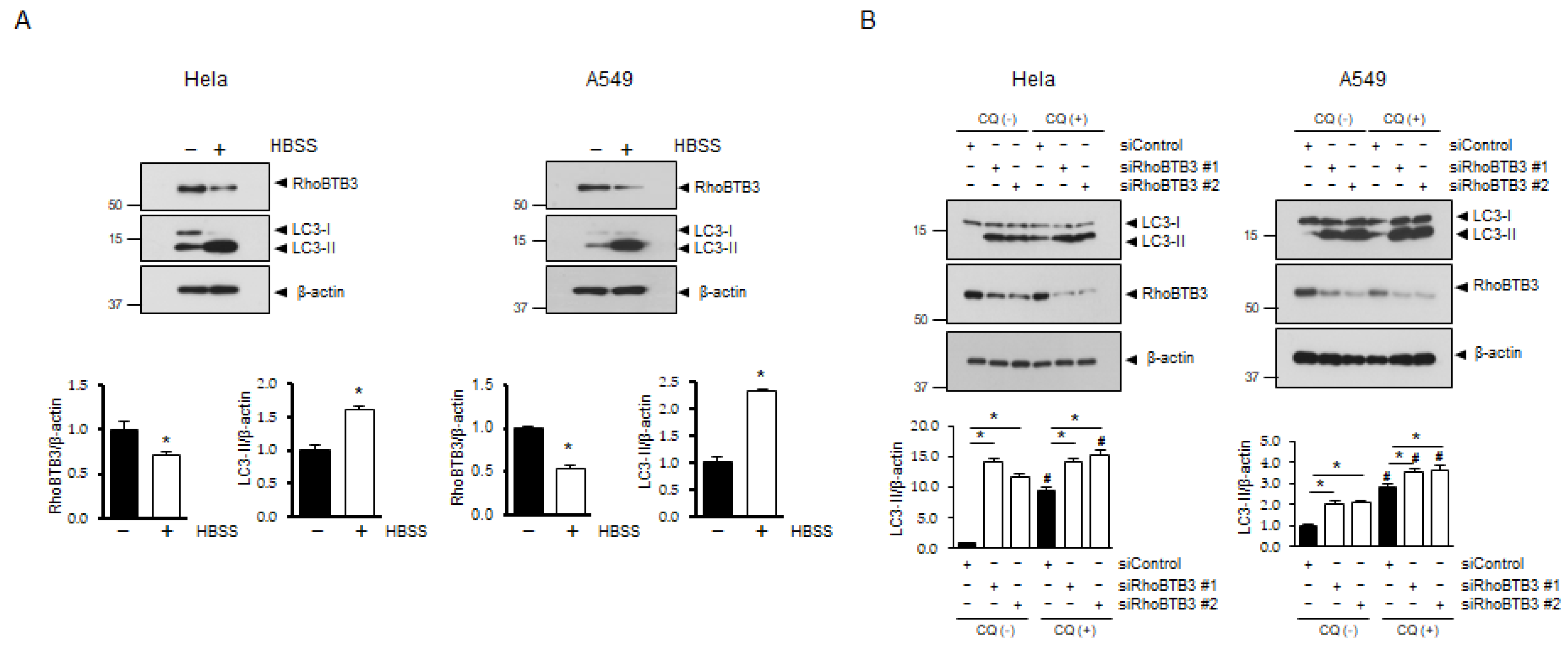 Cells 13 01659 g001a
