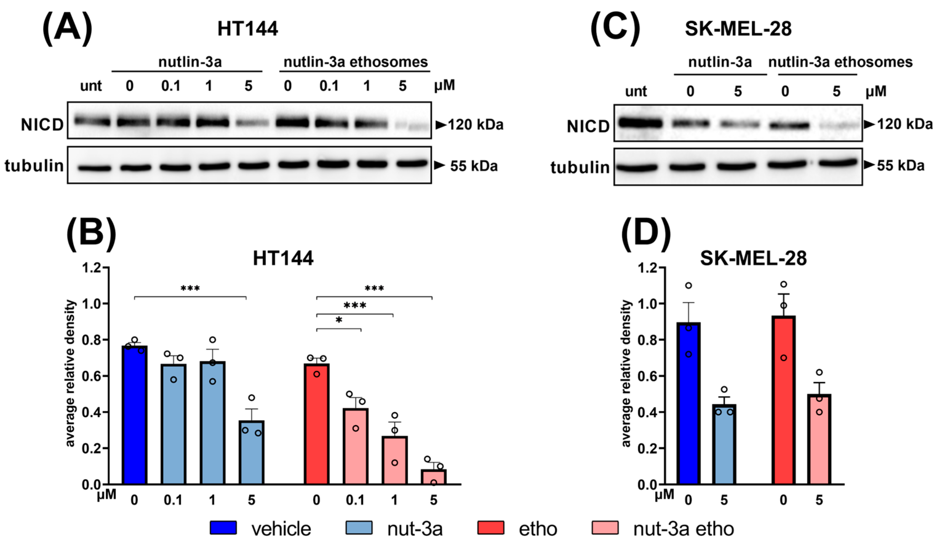 Cells 13 01678 g007 Cells 13 01678 g007