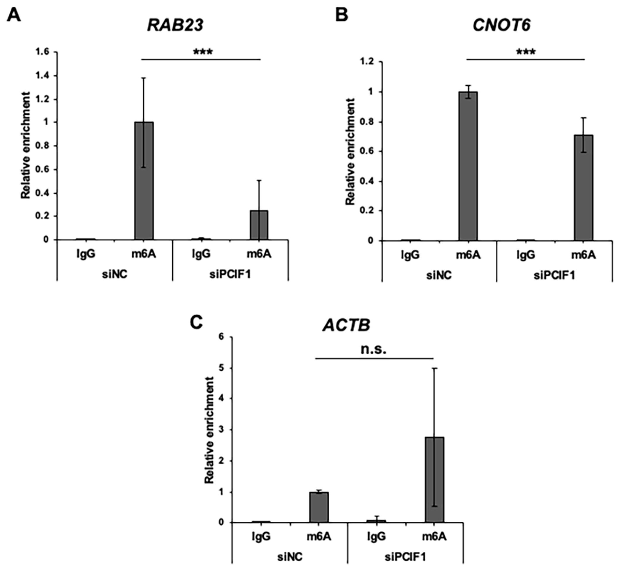 Cap-Specific m6Am Methyltransferase PCIF1/CAPAM Regulates mRNA ...