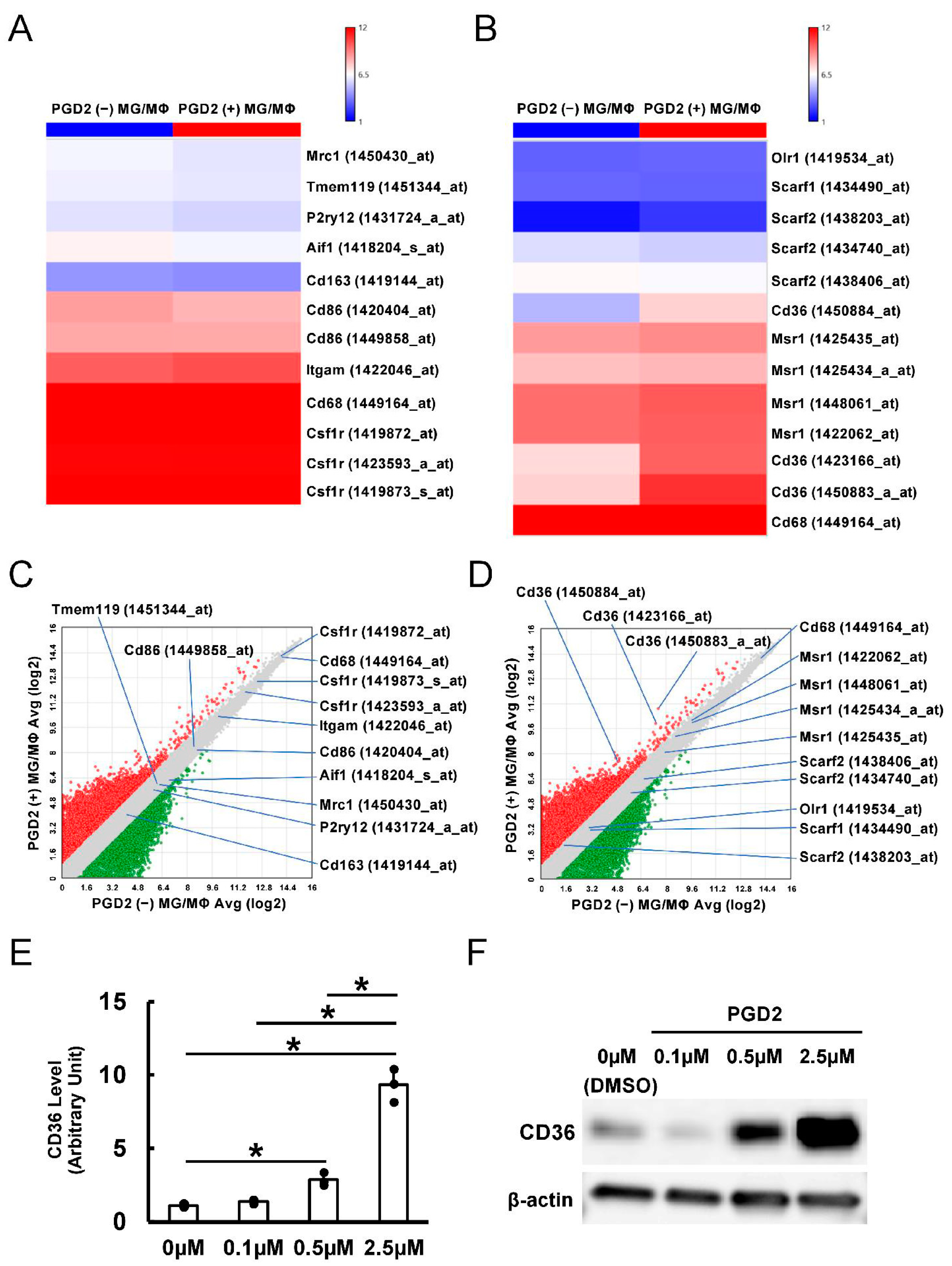 Cells 13 01737 g003 Cells 13 01737 g003