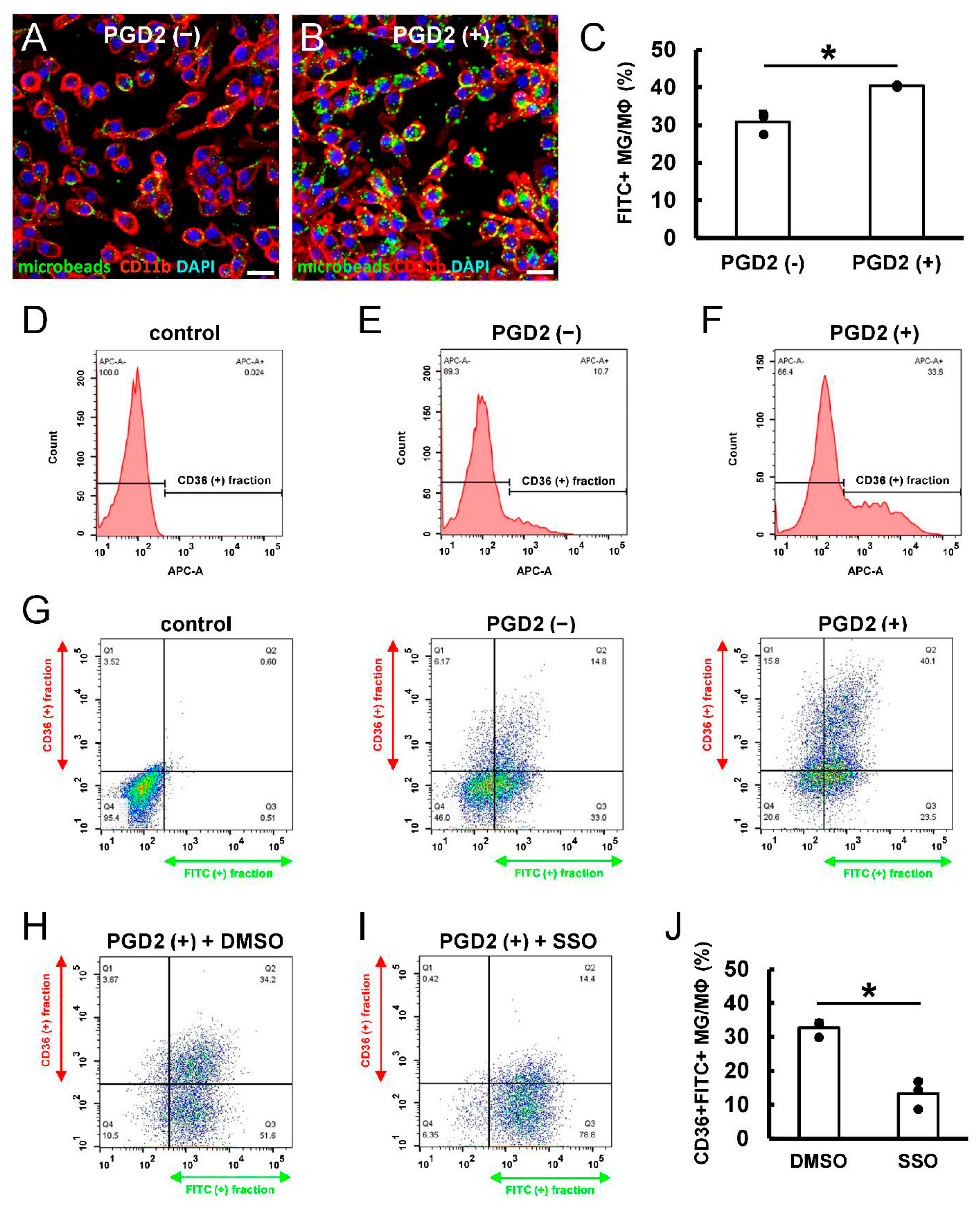 Cells 13 01737 g007 Cells 13 01737 g007