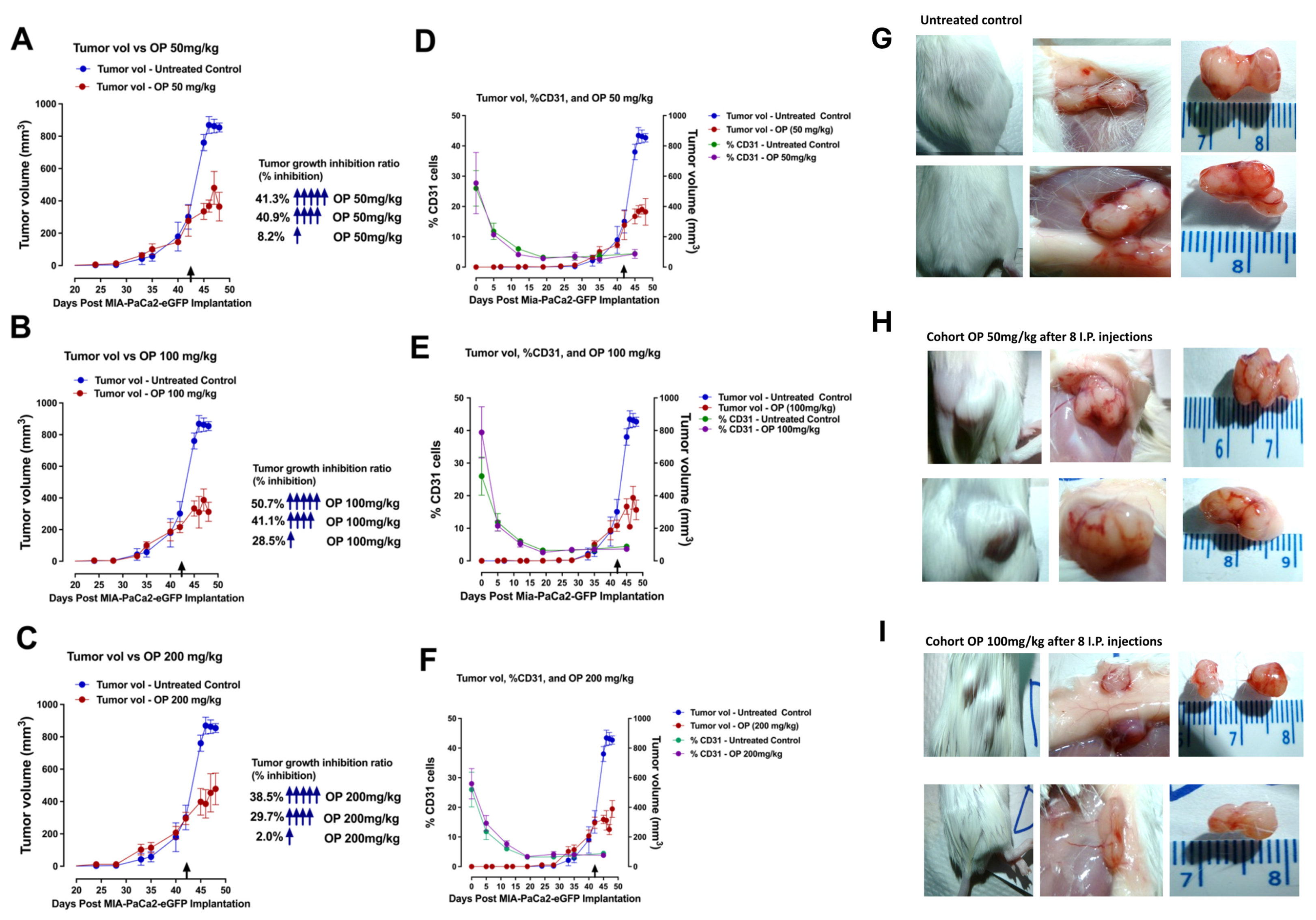 Cells 13 01739 g002 Cells 13 01739 g002