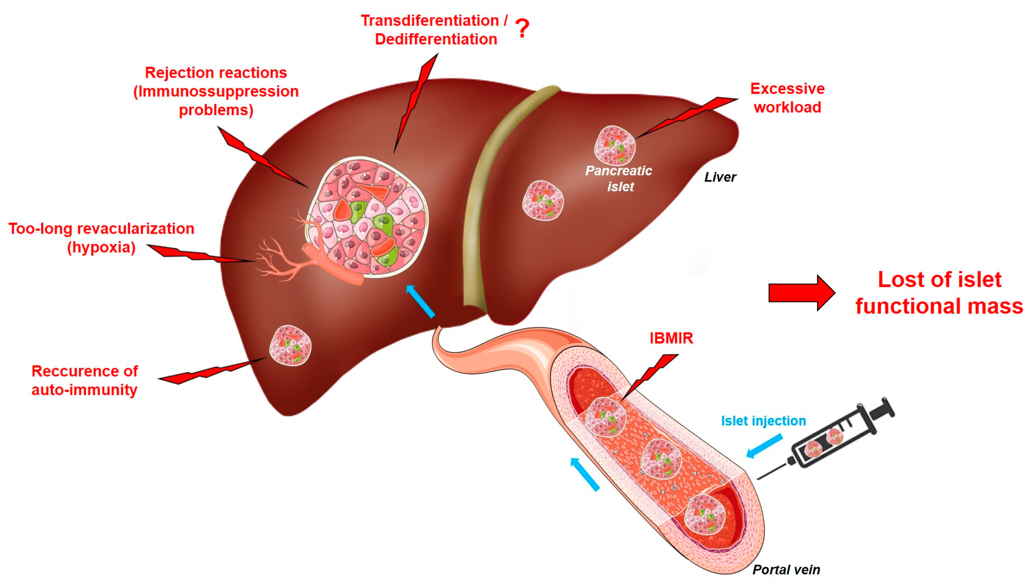Cells 13 01783 g002 Cells 13 01783 g002