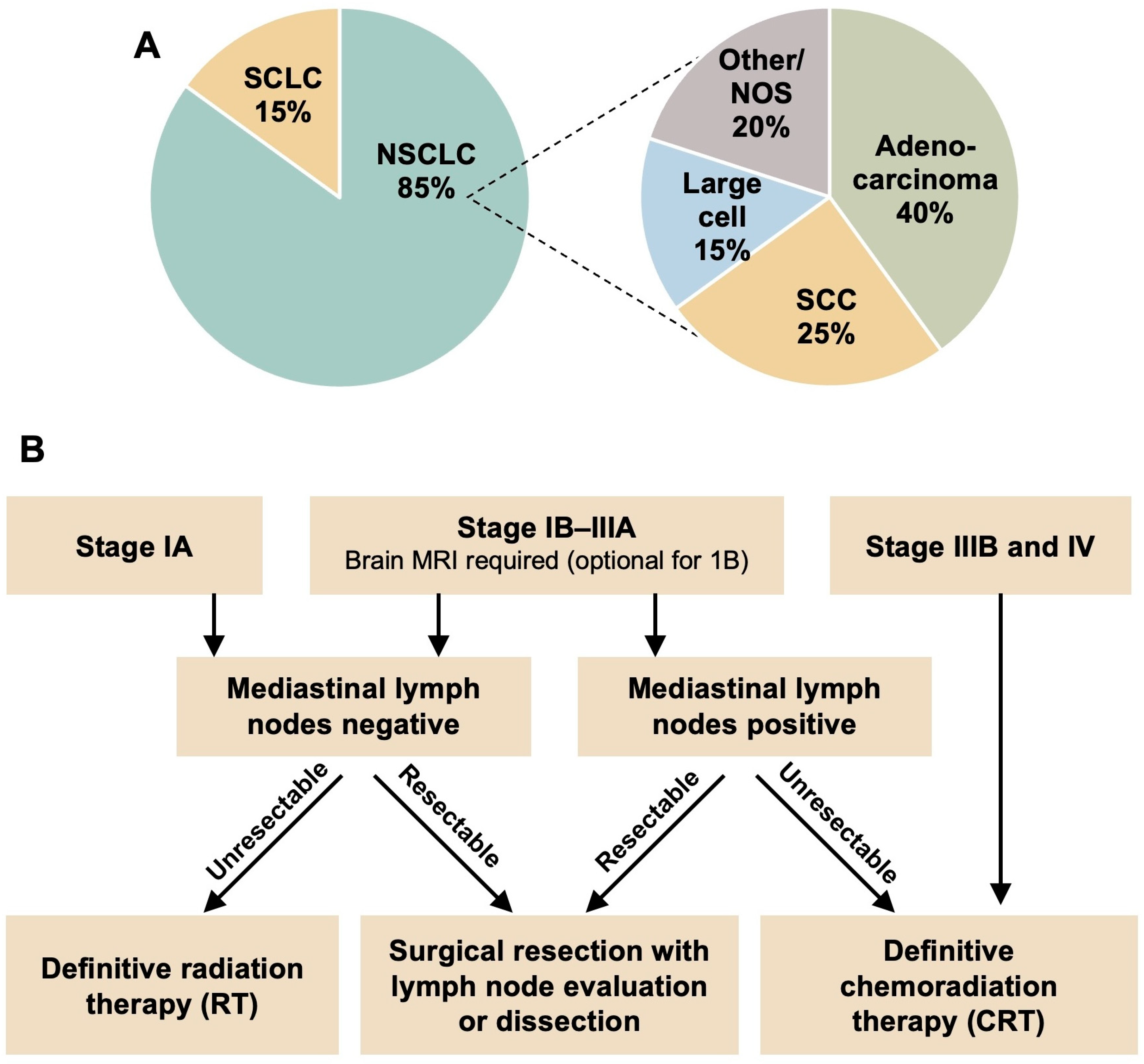 Cells 13 01785 g001 Cells 13 01785 g001