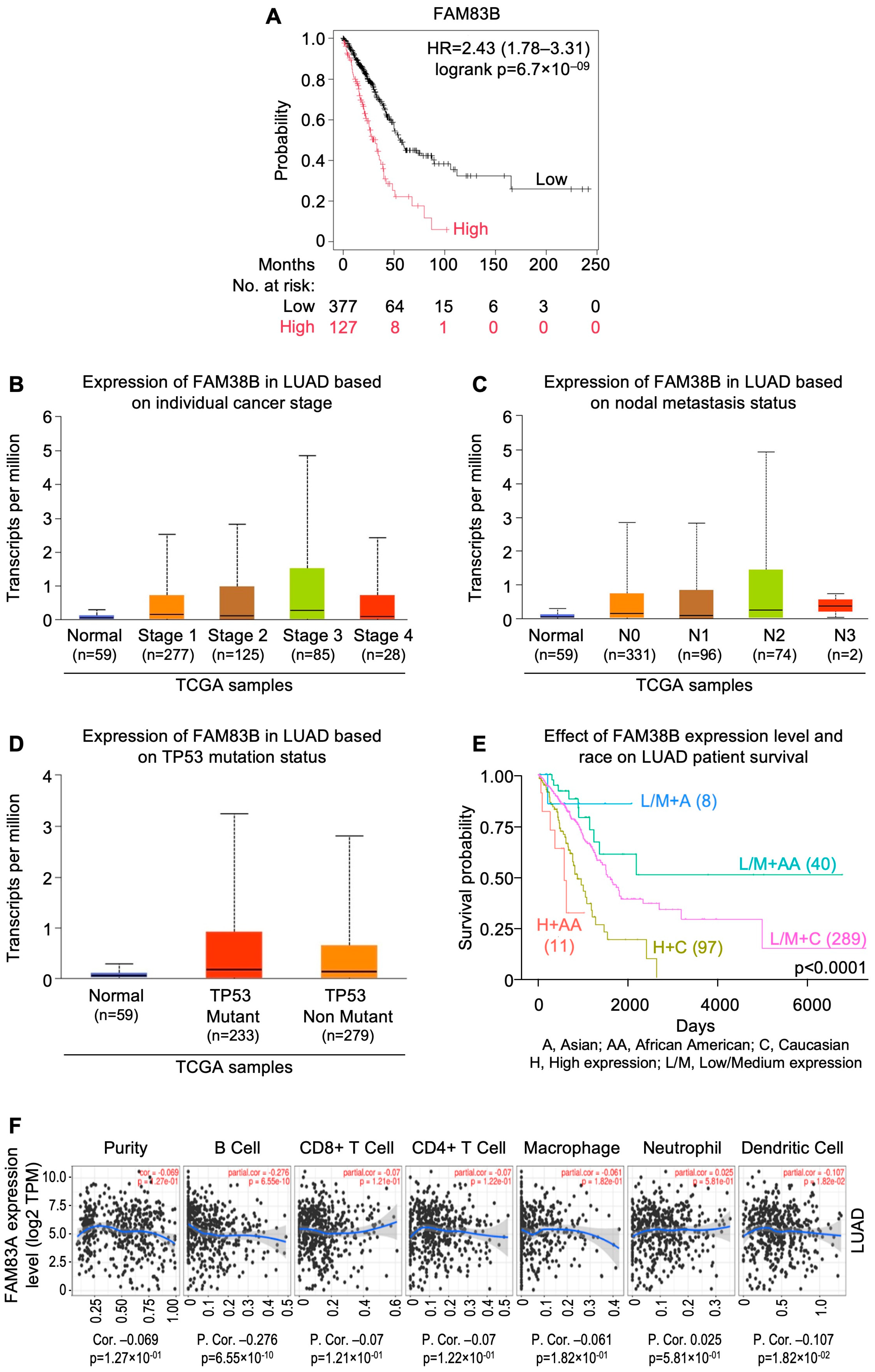 Cells 13 01785 g003 Cells 13 01785 g003