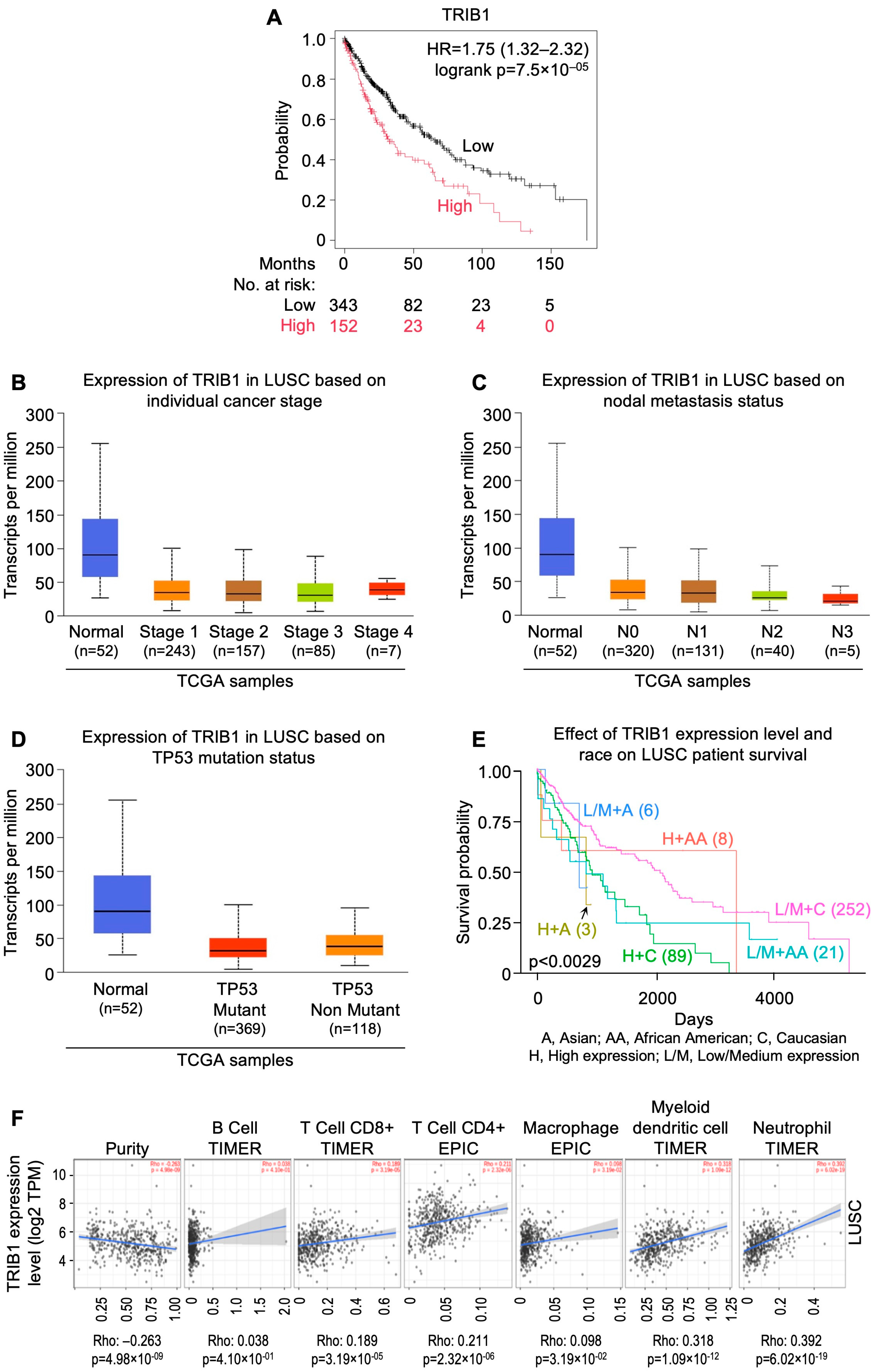 Cells 13 01785 g006 Cells 13 01785 g006