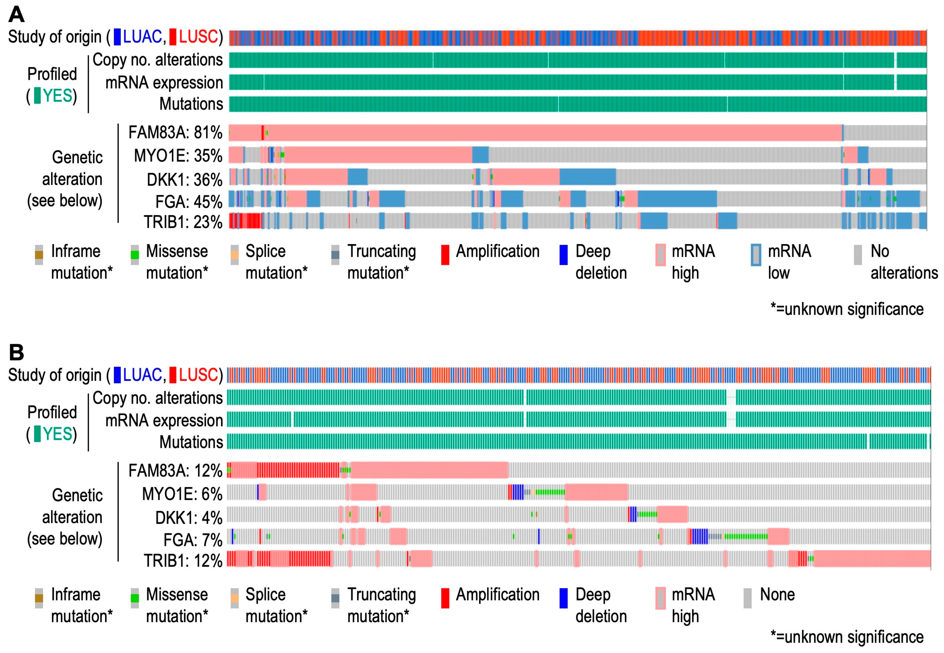 Cells 13 01785 g008 Cells 13 01785 g008