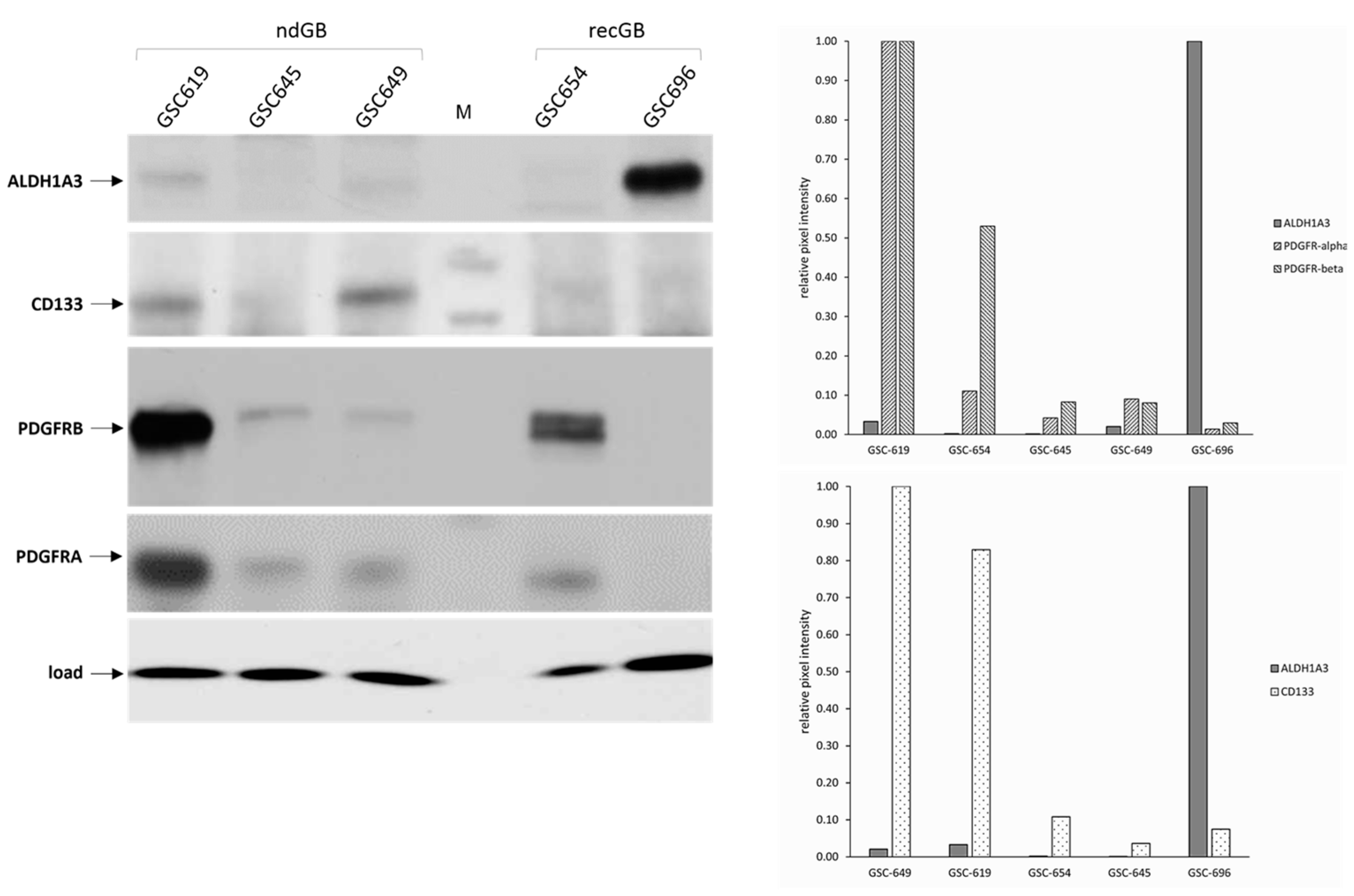 Cells 13 01802 g001 Cells 13 01802 g001