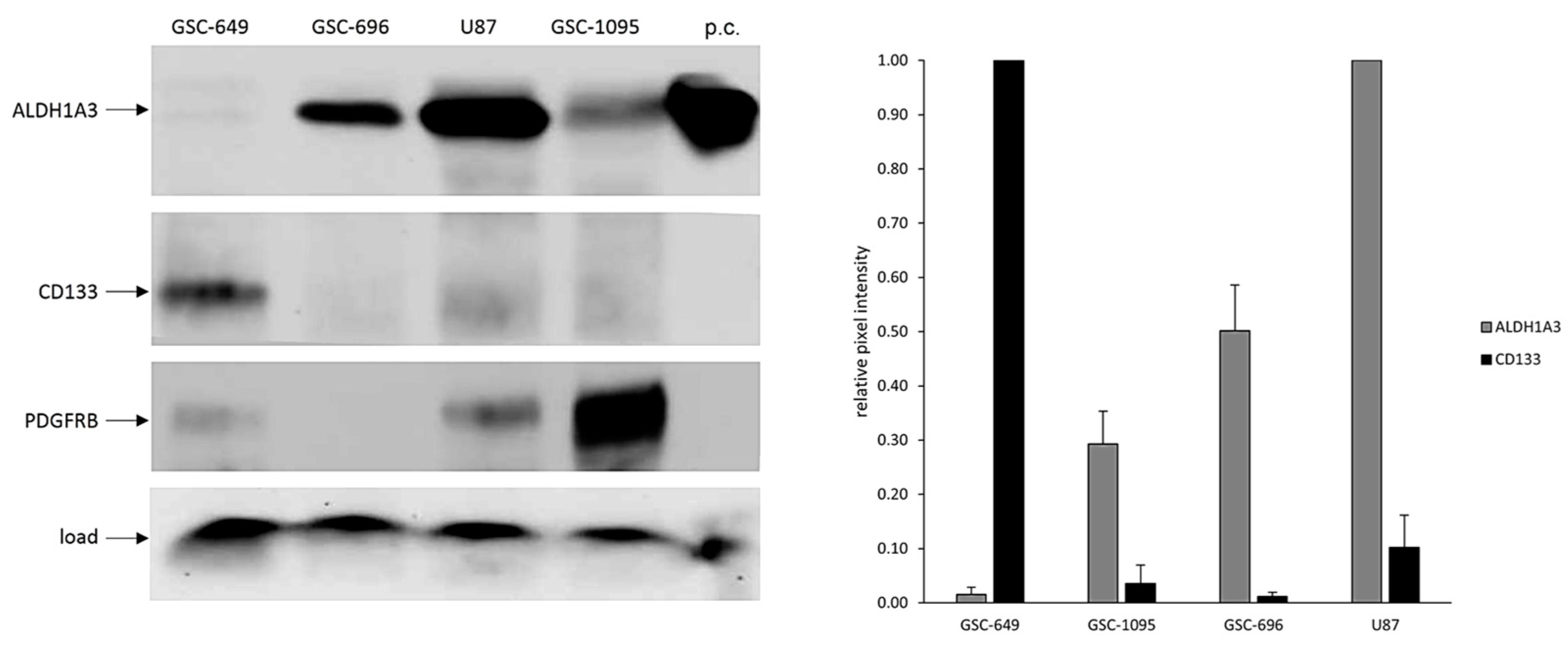 Cells 13 01802 g002 Cells 13 01802 g002