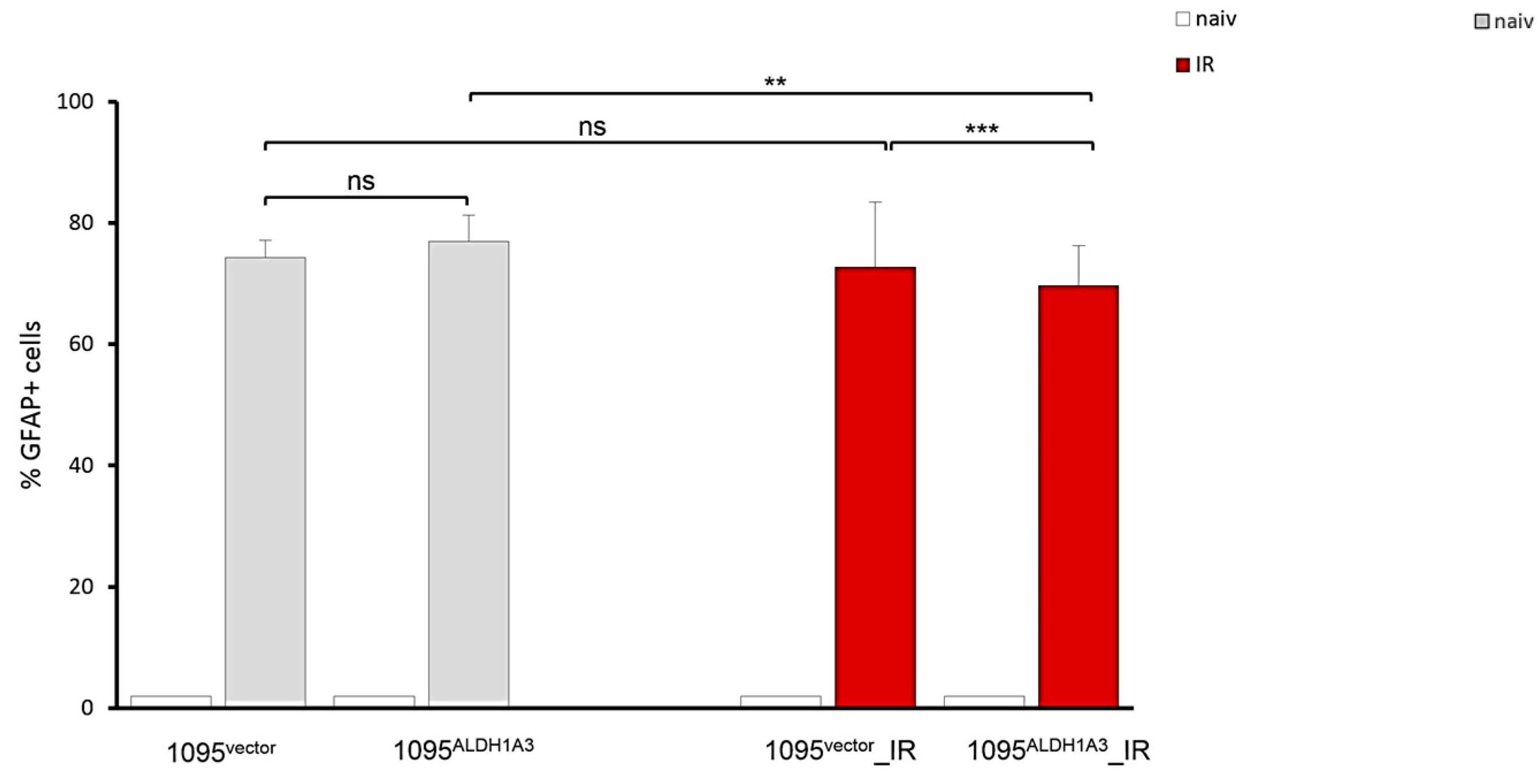 Cells 13 01802 g007 Cells 13 01802 g007