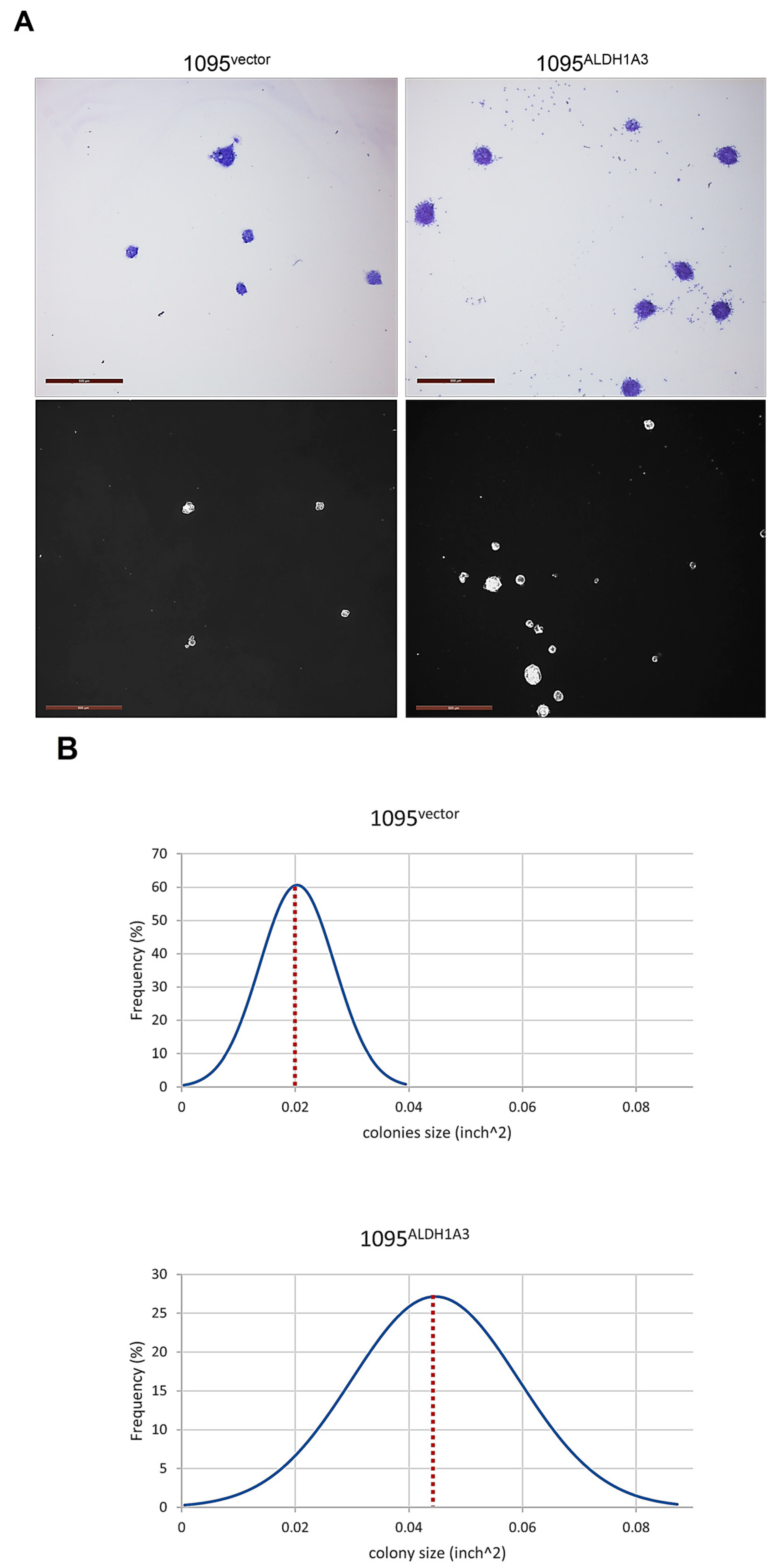 Cells 13 01802 g010a Cells 13 01802 g010a