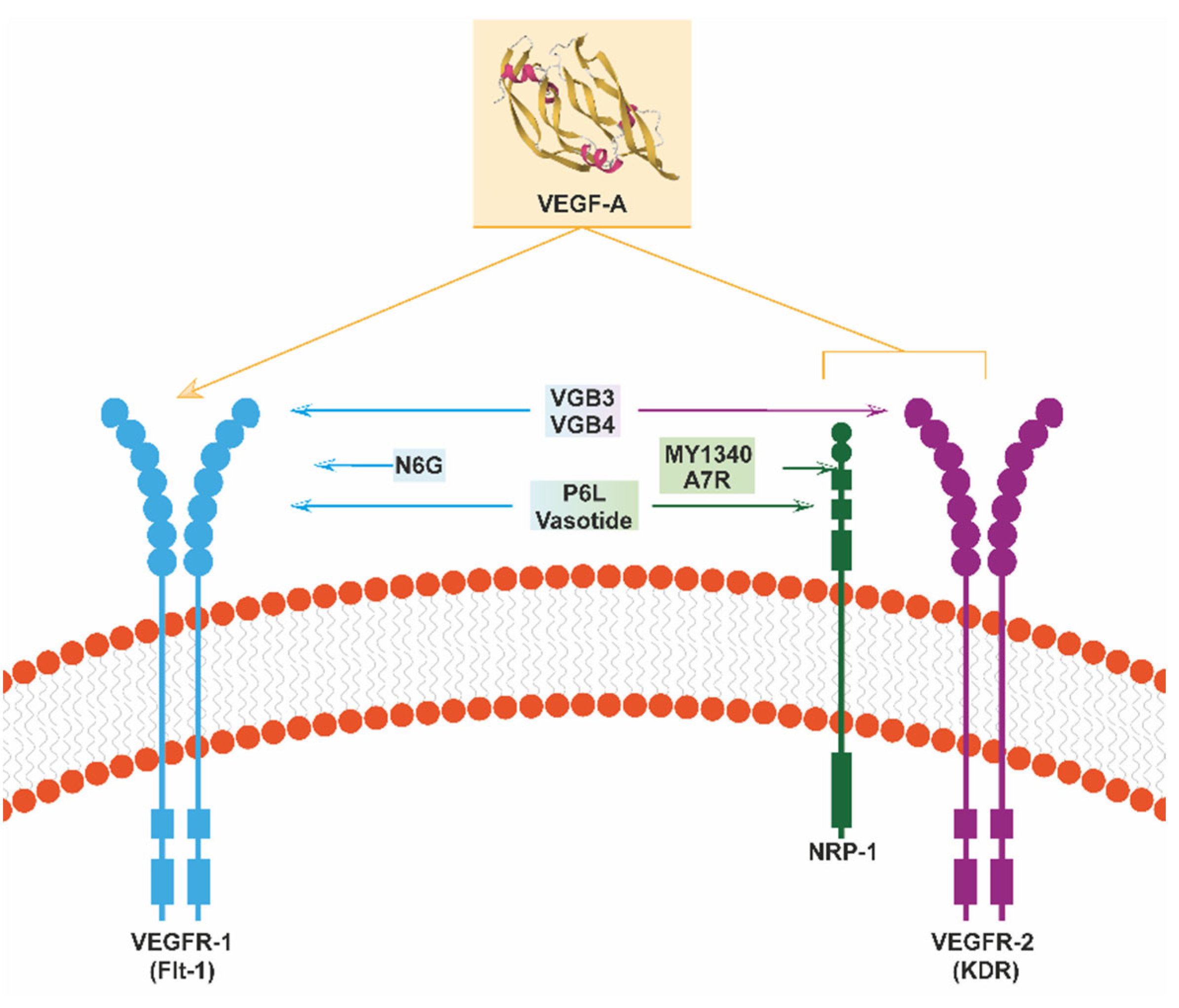 Cells 13 01815 g001 Cells 13 01815 g001