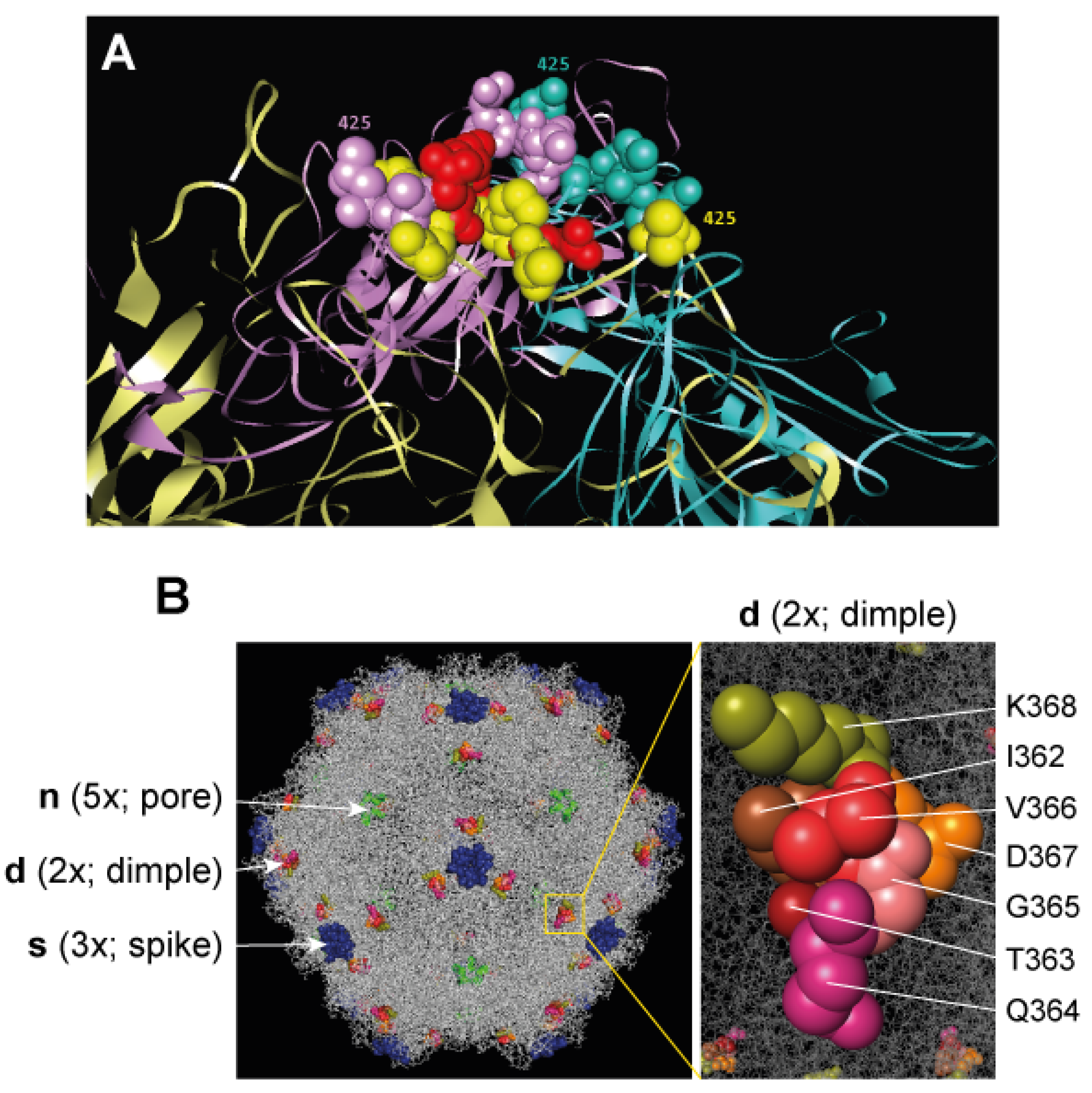 Cells 13 01815 g002 Cells 13 01815 g002