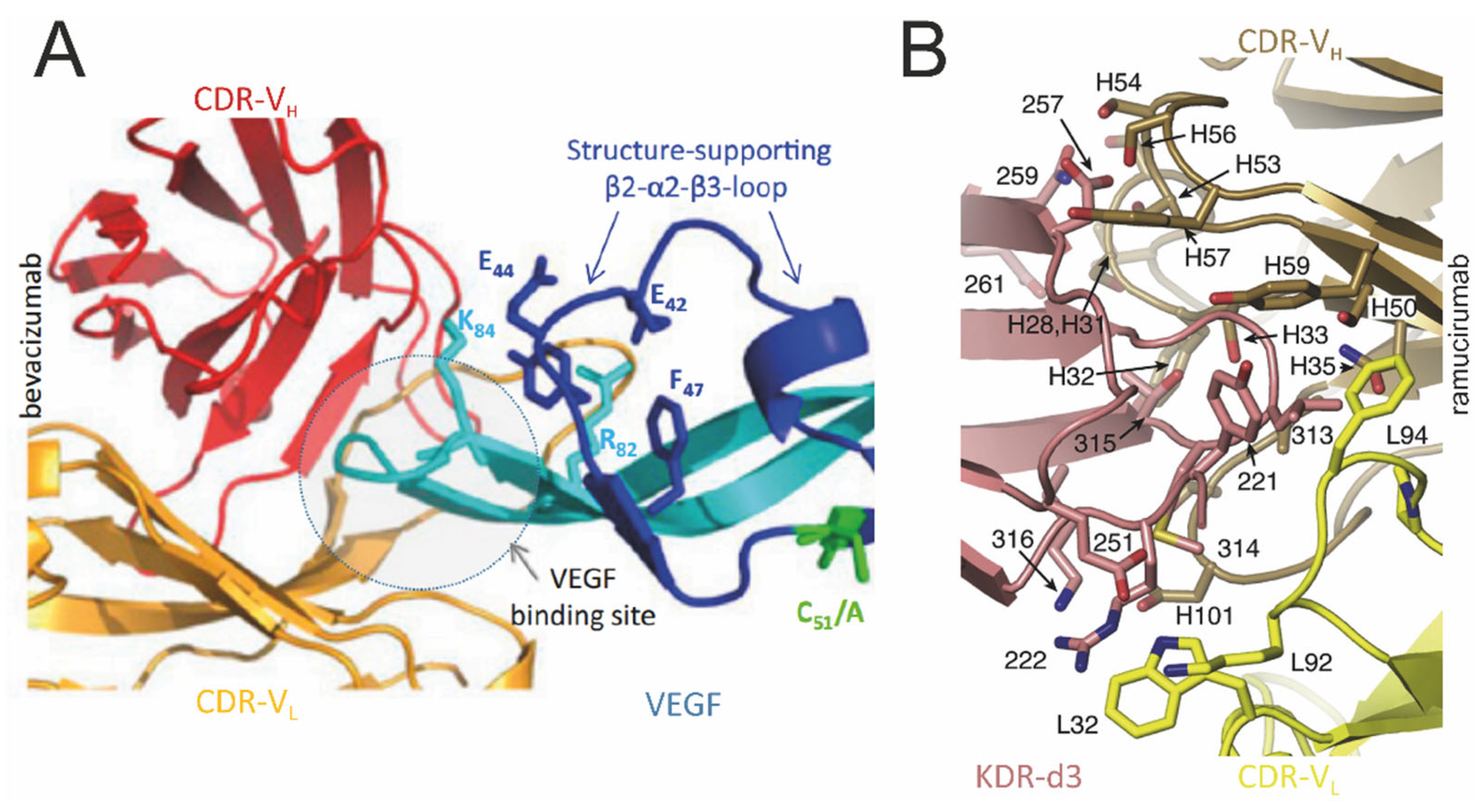 Cells 13 01815 g004 Cells 13 01815 g004