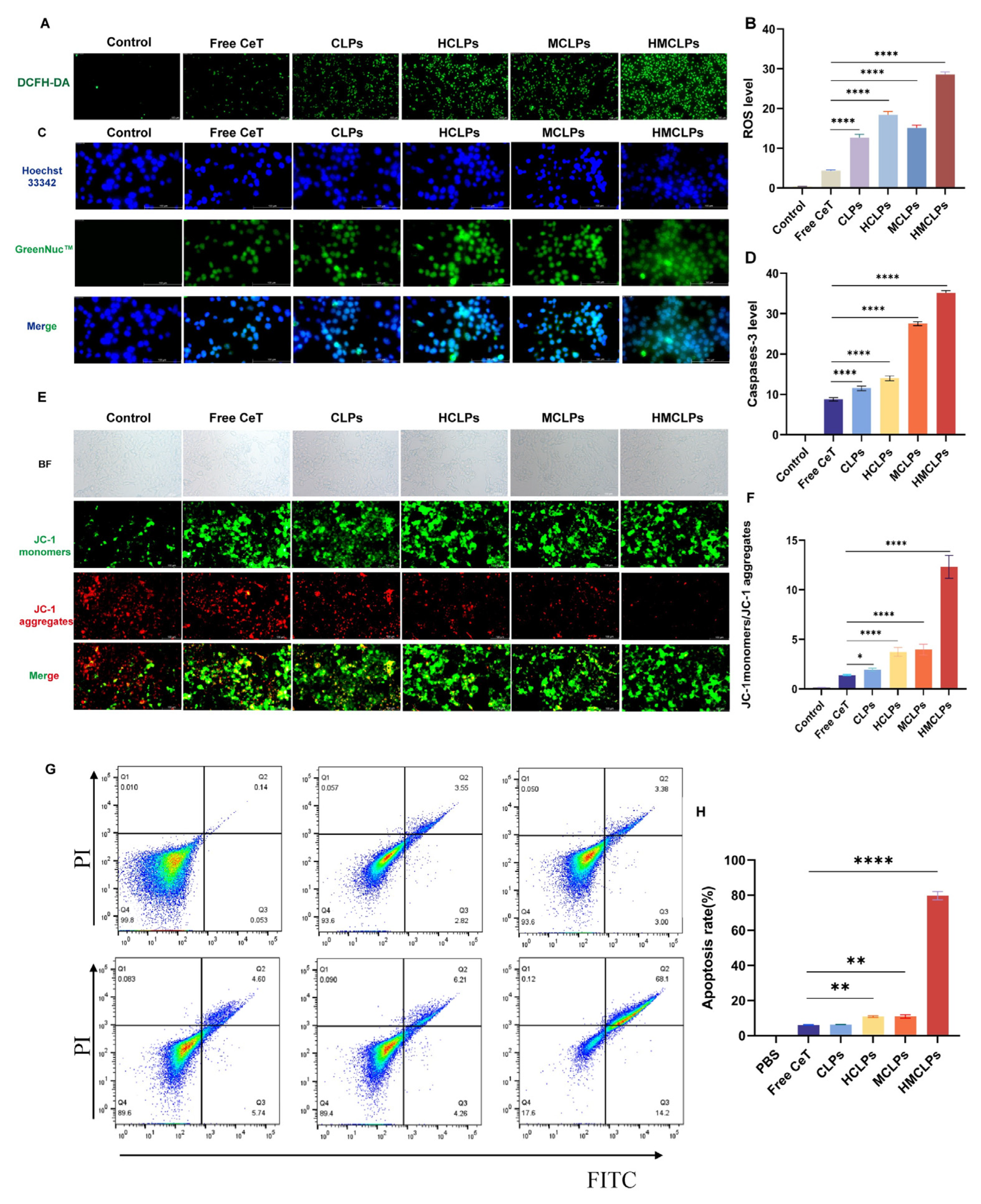 Cells 13 01819 g005