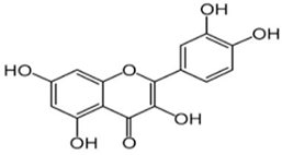 Cells 13 01945 i005 Cells 13 01945 i005