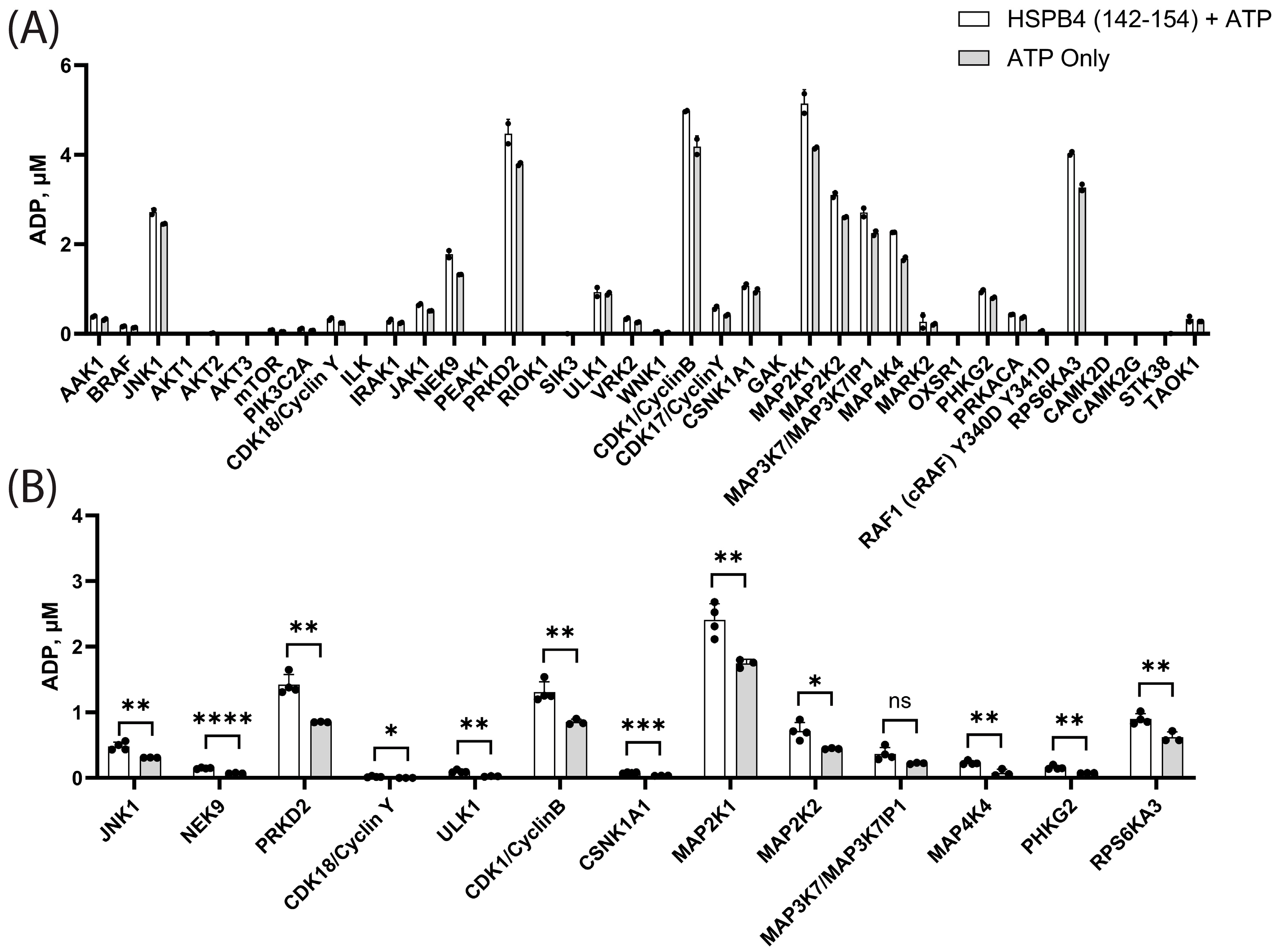Cells 13 02000 g003 Cells 13 02000 g003