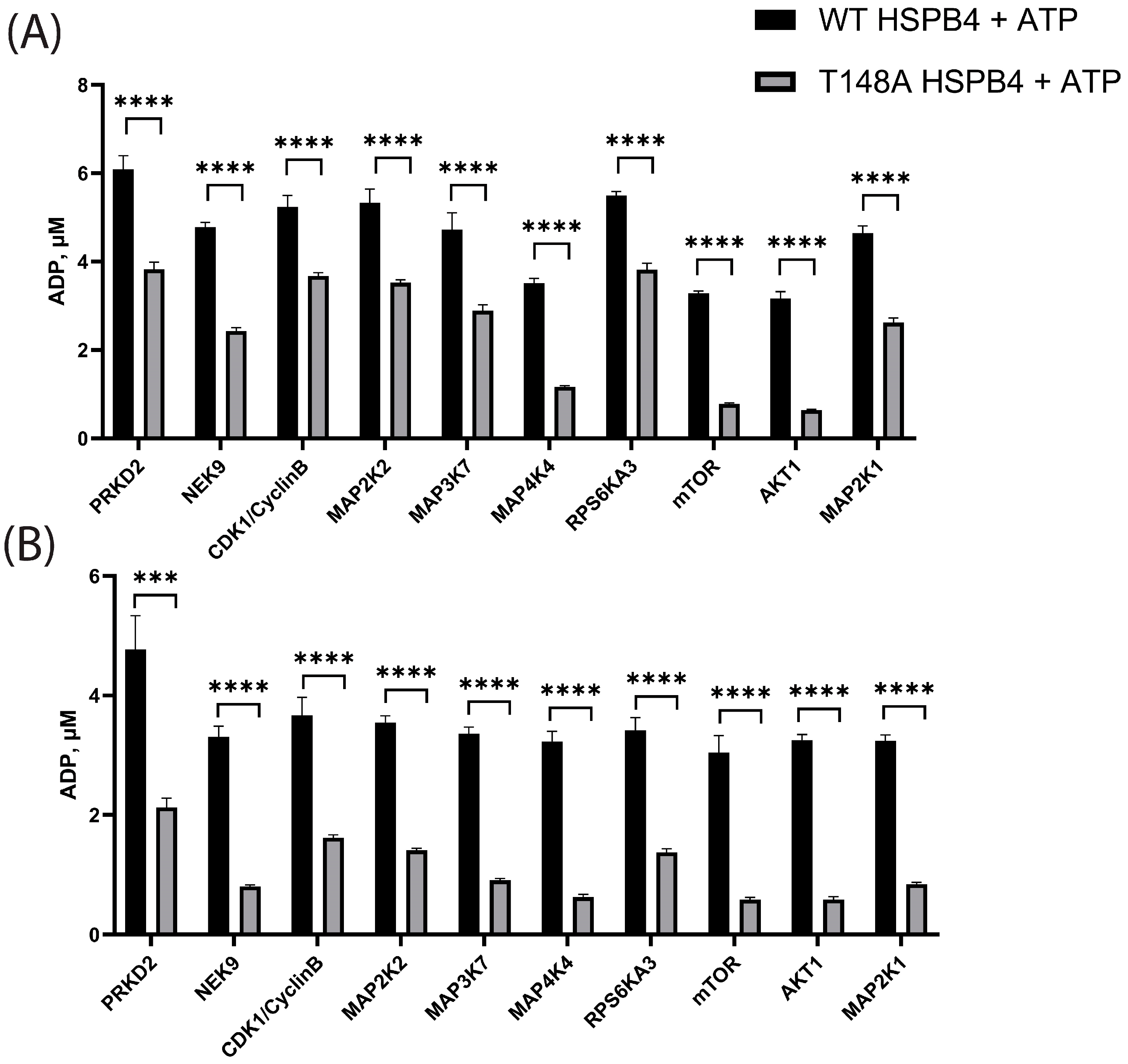 Cells 13 02000 g004 Cells 13 02000 g004