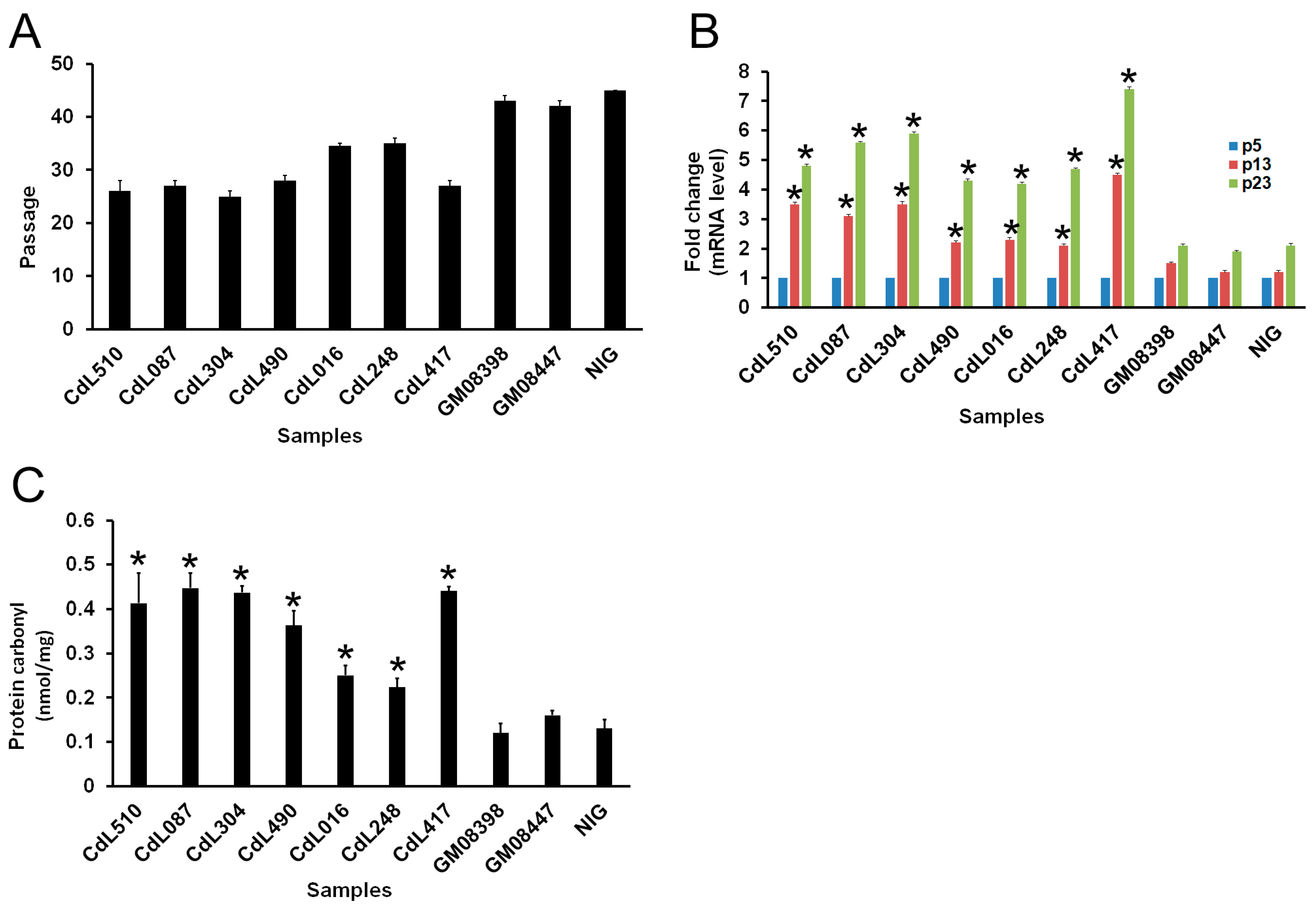 Cells 13 02025 g001 Cells 13 02025 g001