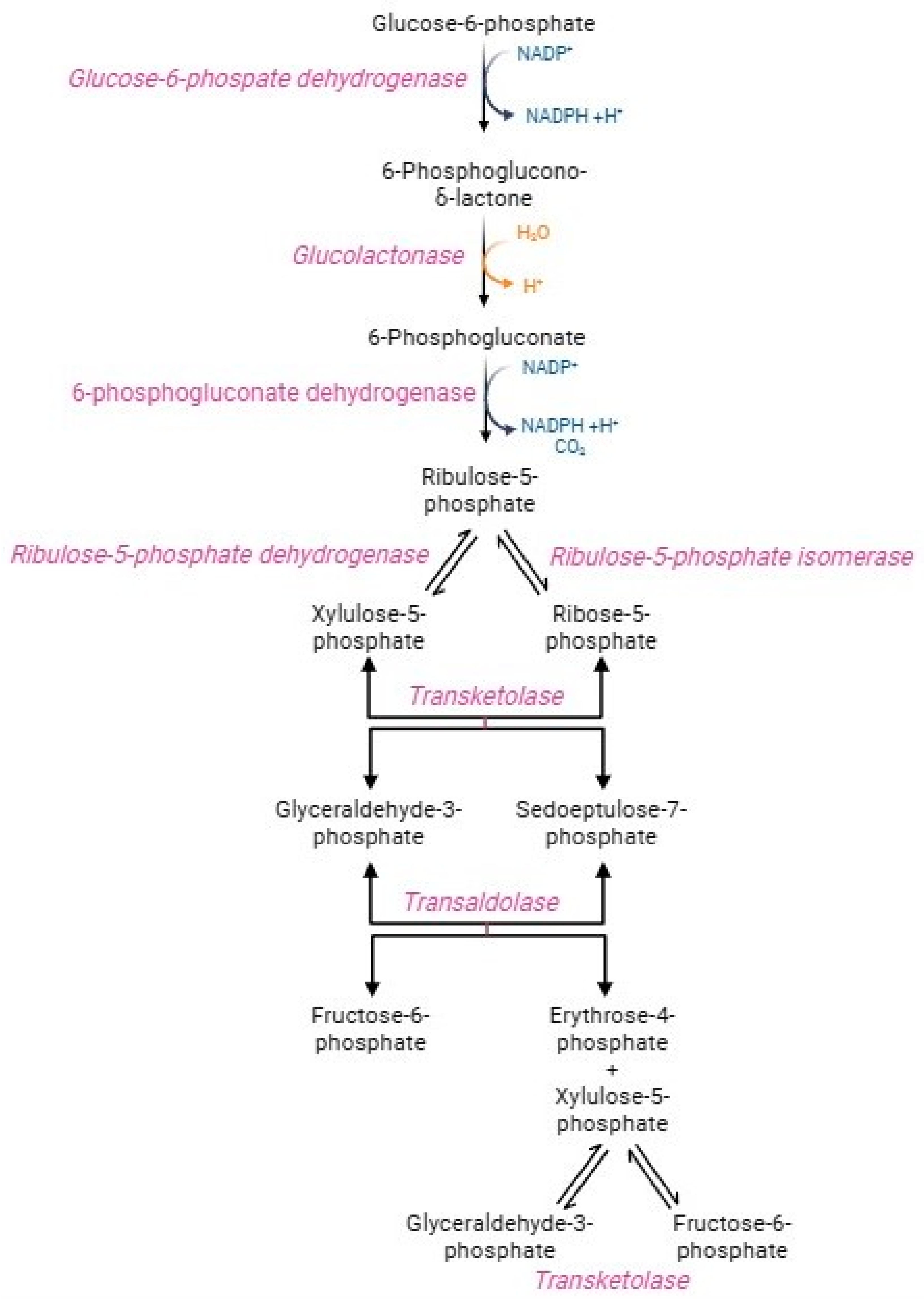 Cells 13 02026 g003 Cells 13 02026 g003