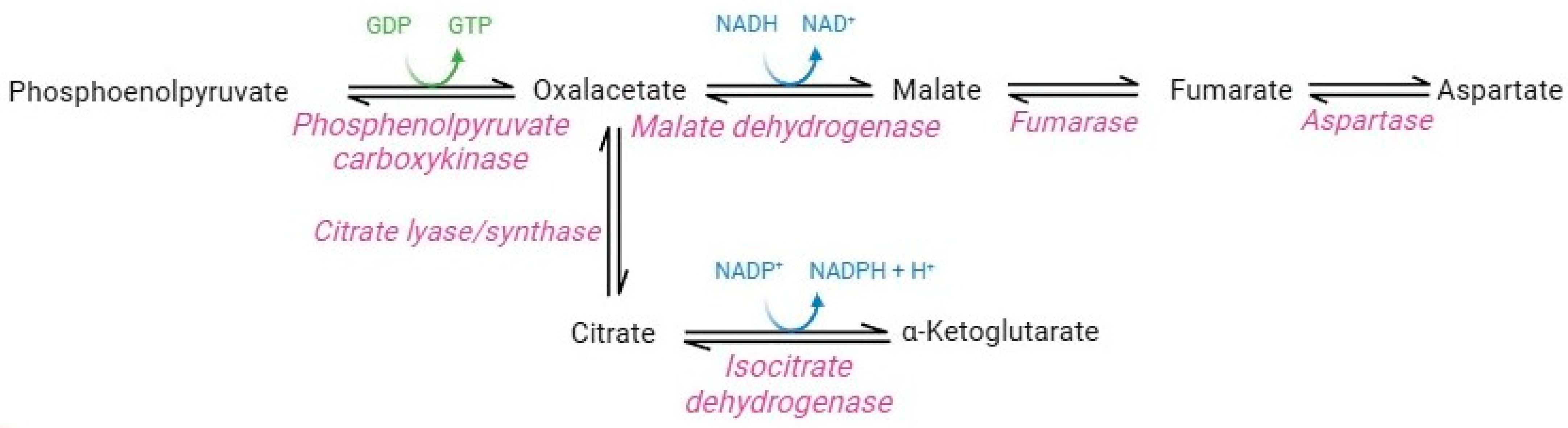 Cells 13 02026 g006 Cells 13 02026 g006