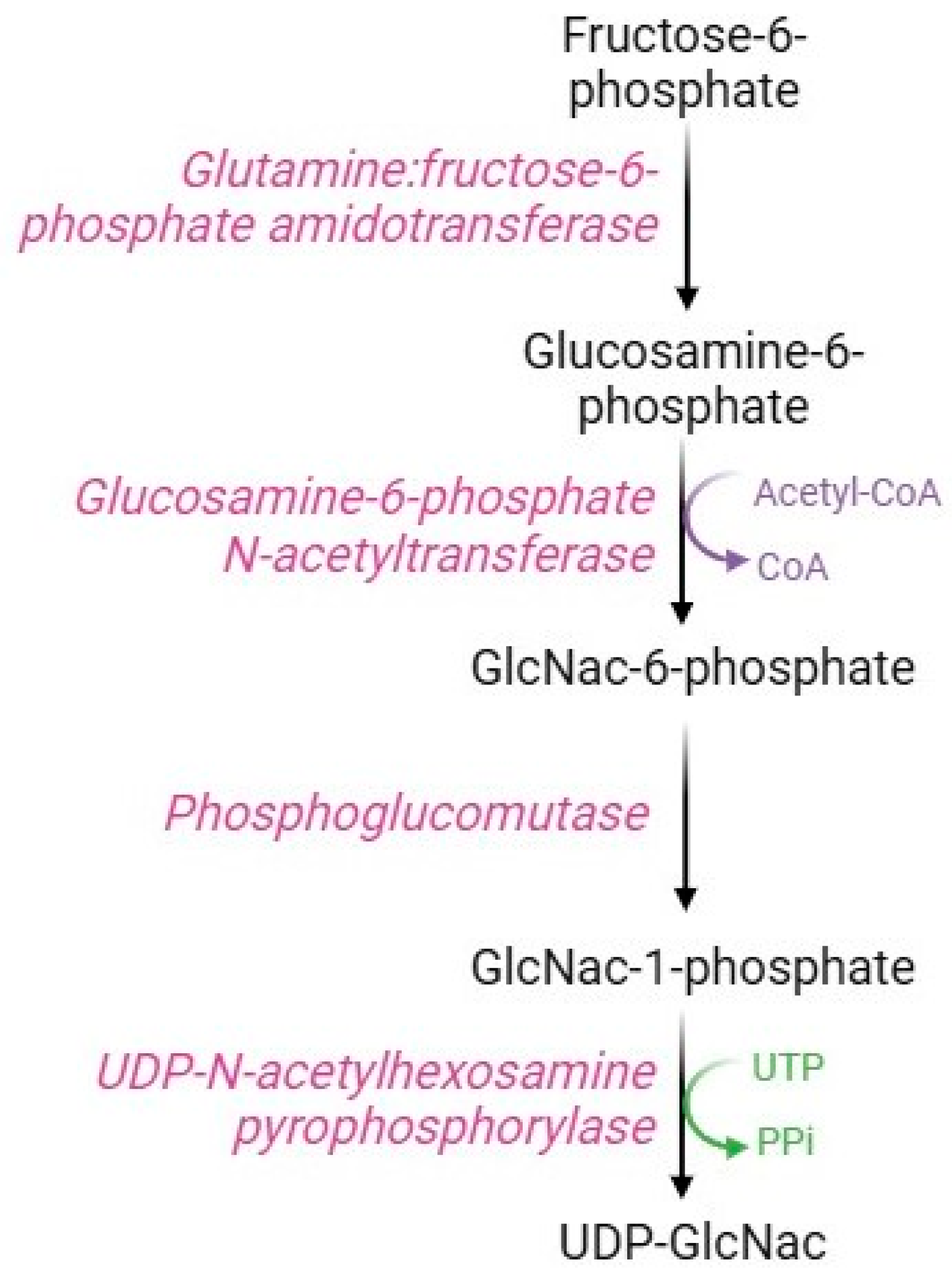 Cells 13 02026 g008 Cells 13 02026 g008