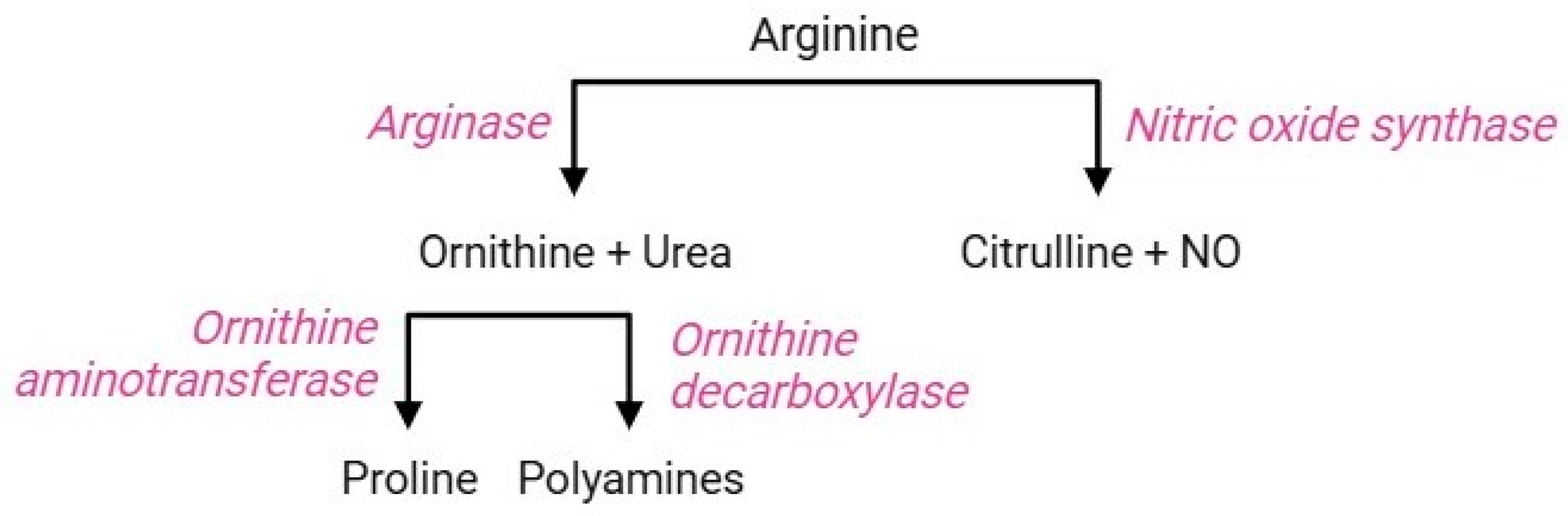 Cells 13 02026 g009 Cells 13 02026 g009