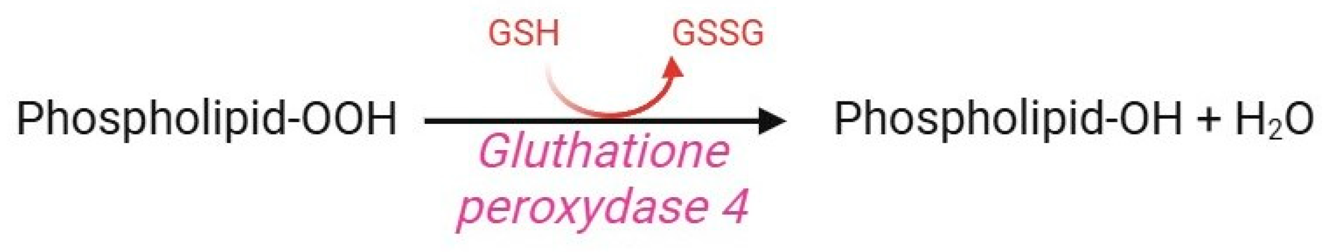 Cells 13 02026 g012 Cells 13 02026 g012