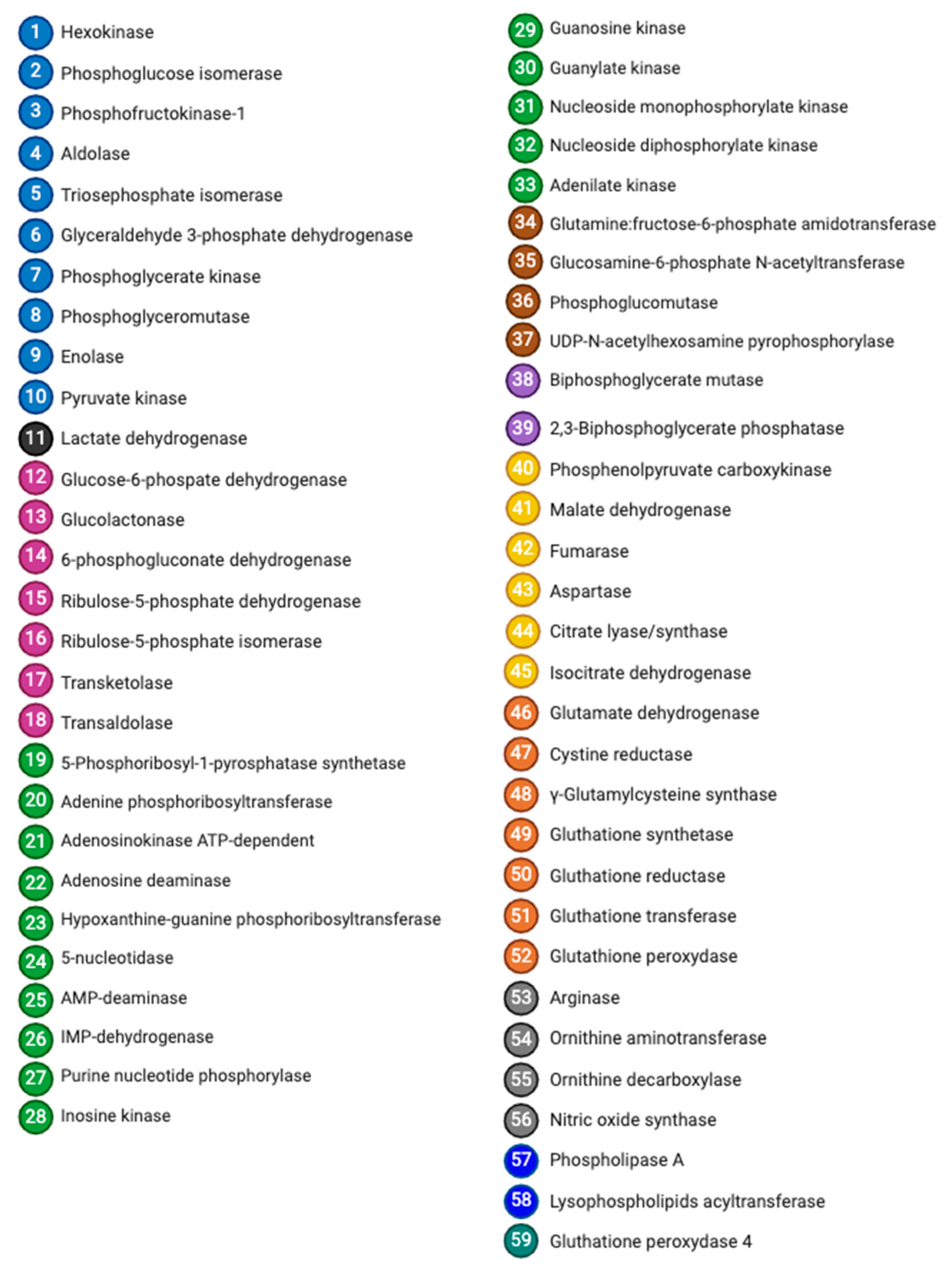 Cells 13 02026 g013b Cells 13 02026 g013b