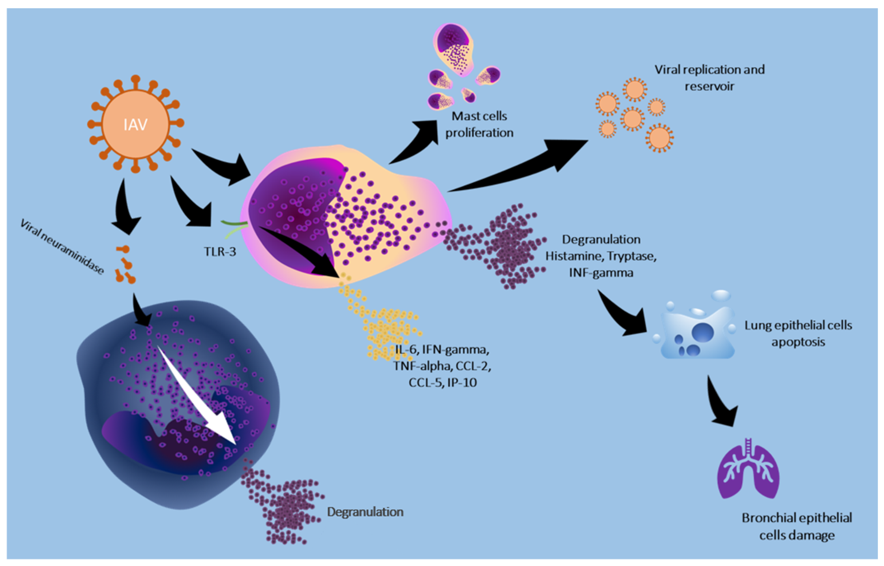 Cells 13 02044 g002 Cells 13 02044 g002