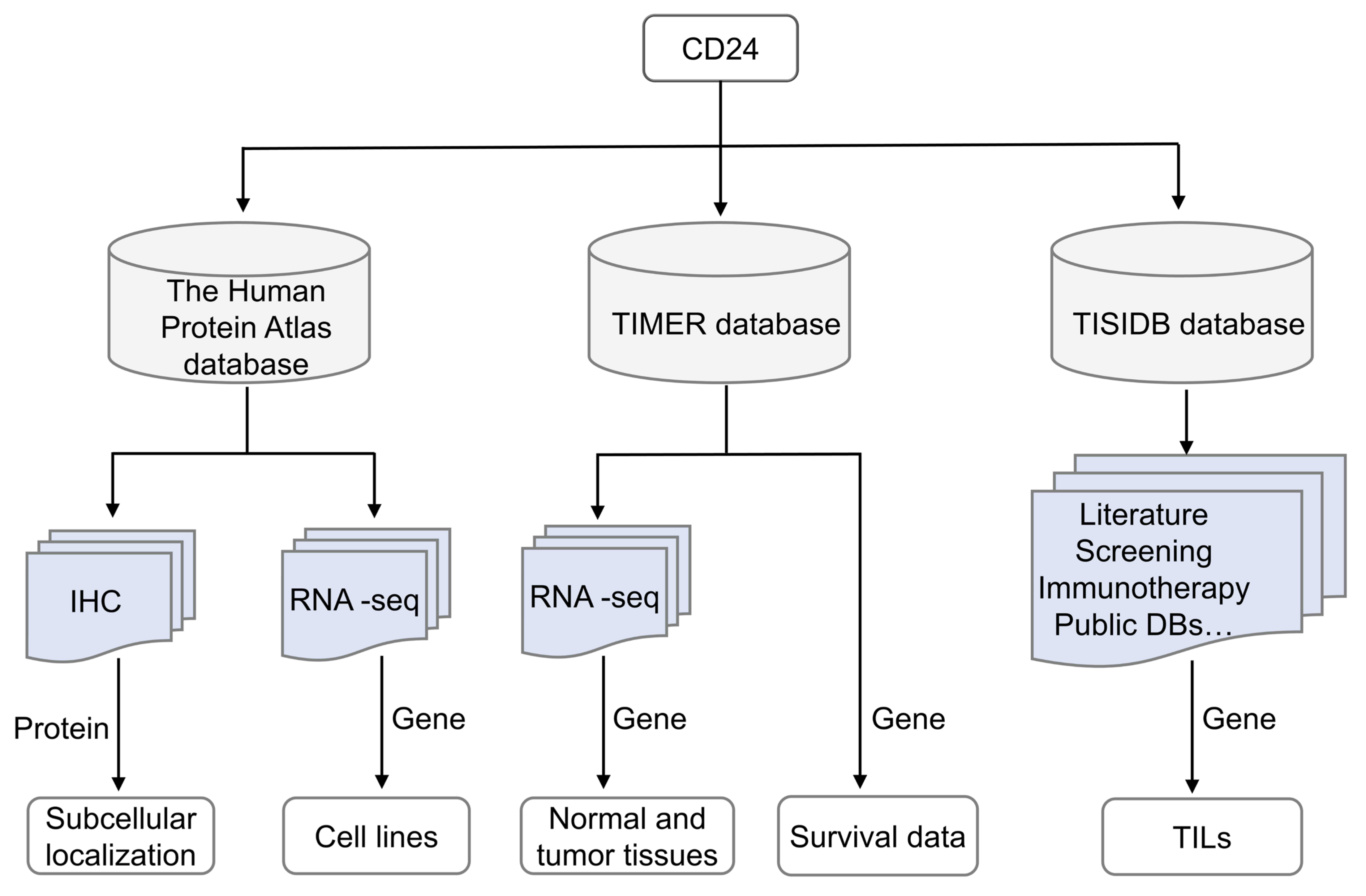 Cells 14 00009 g001 Cells 14 00009 g001