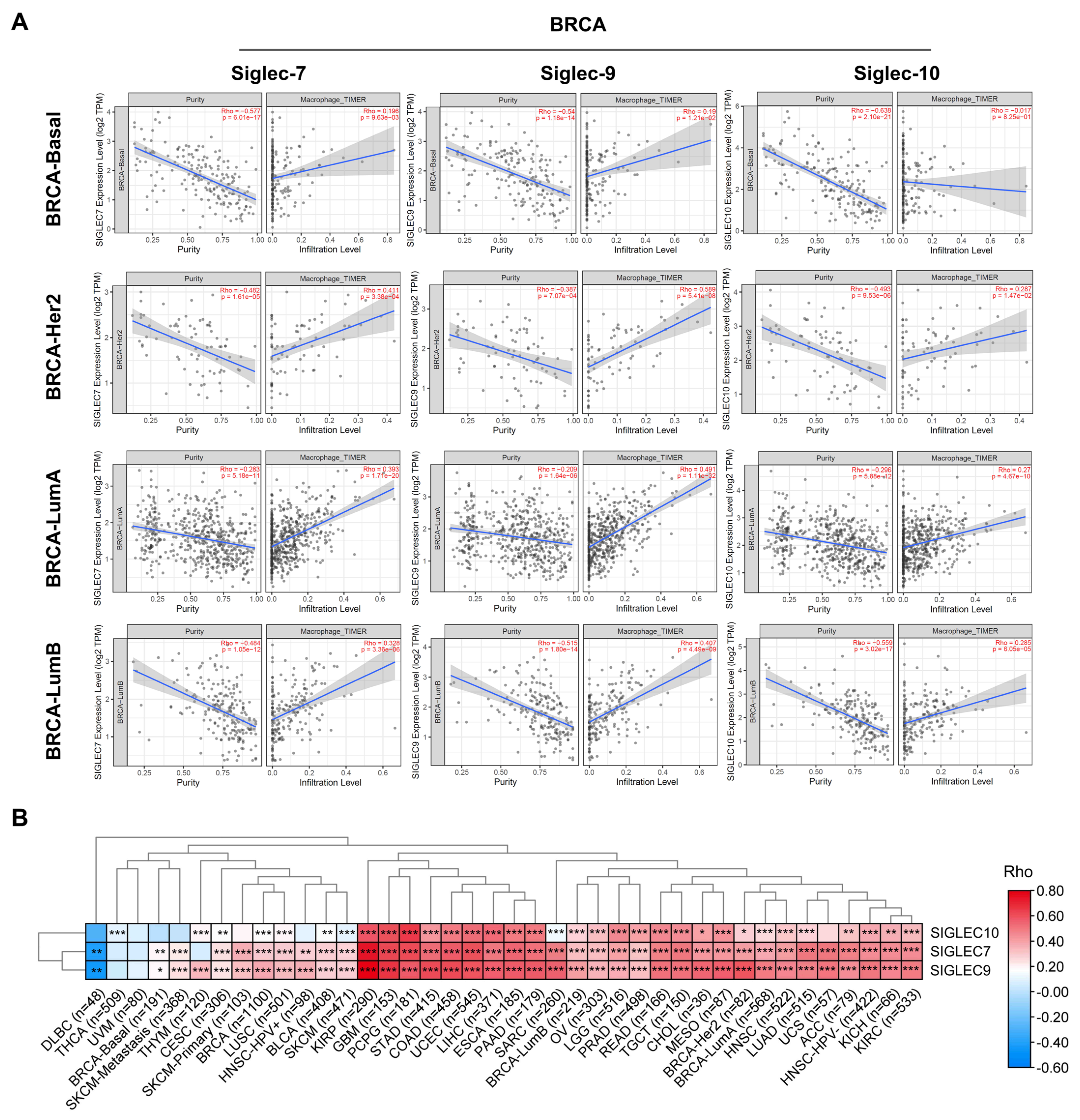 Cells 14 00009 g006 Cells 14 00009 g006