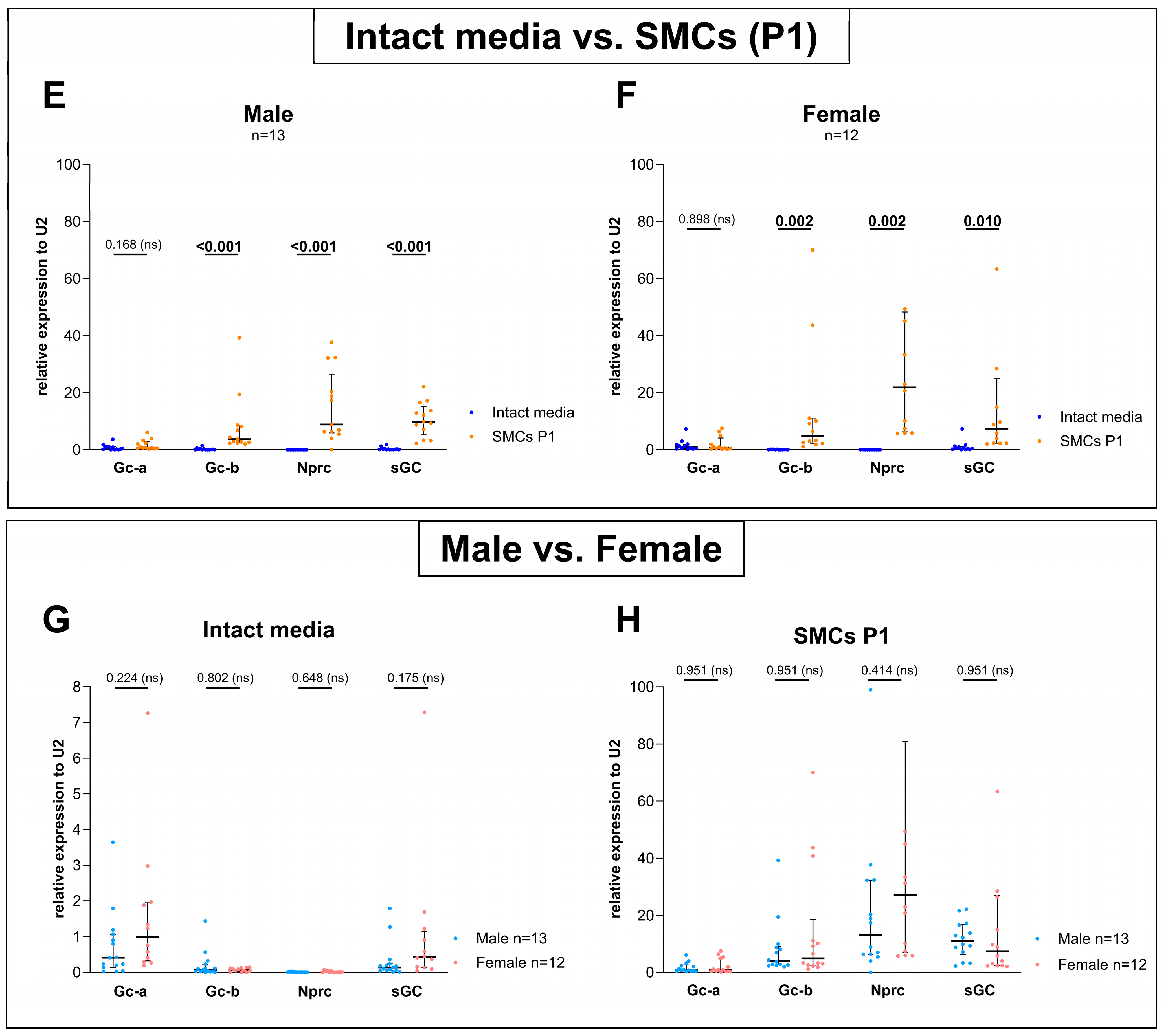 Cells 14 00051 g002b