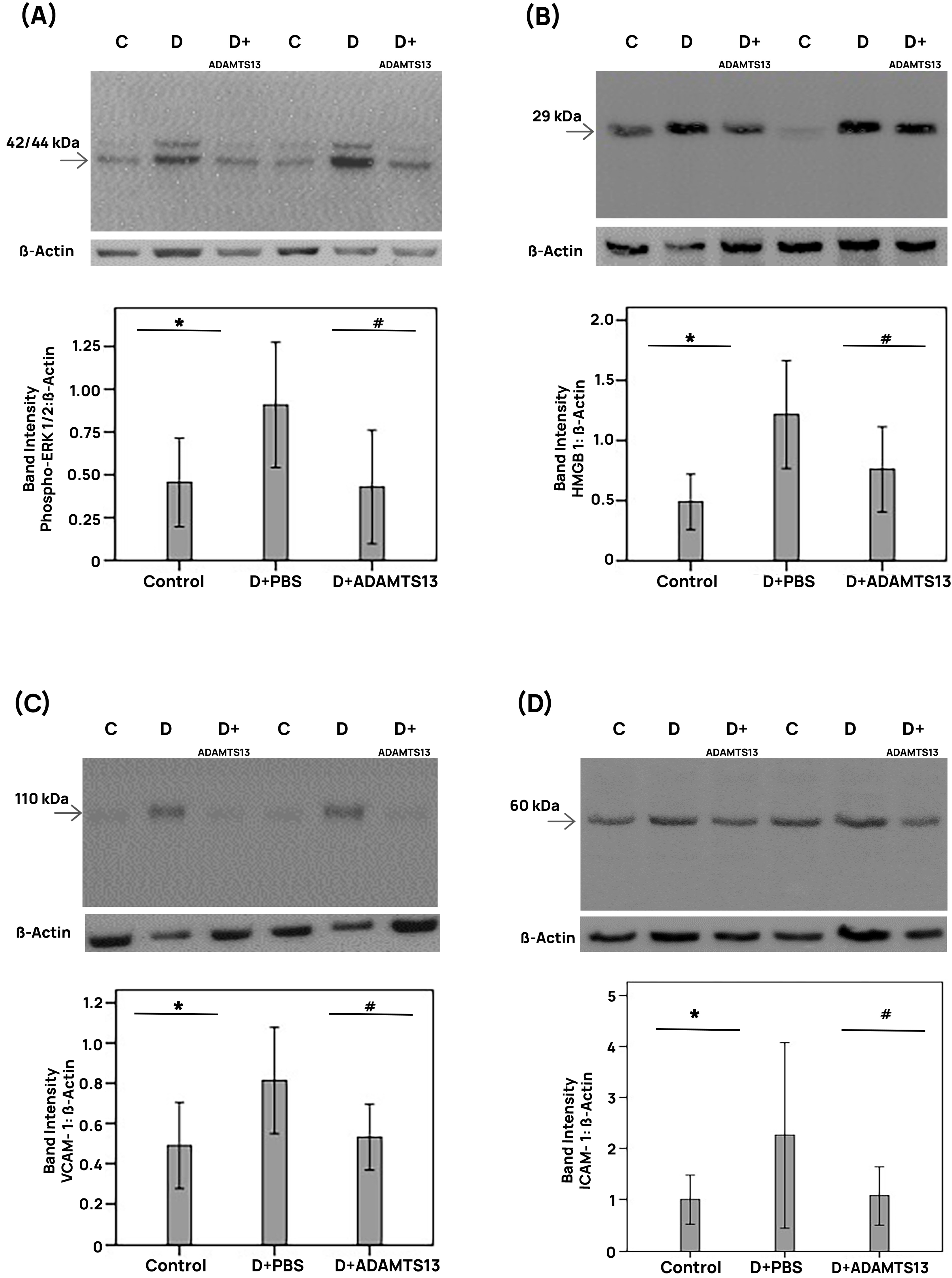 Cells 14 00085 g005