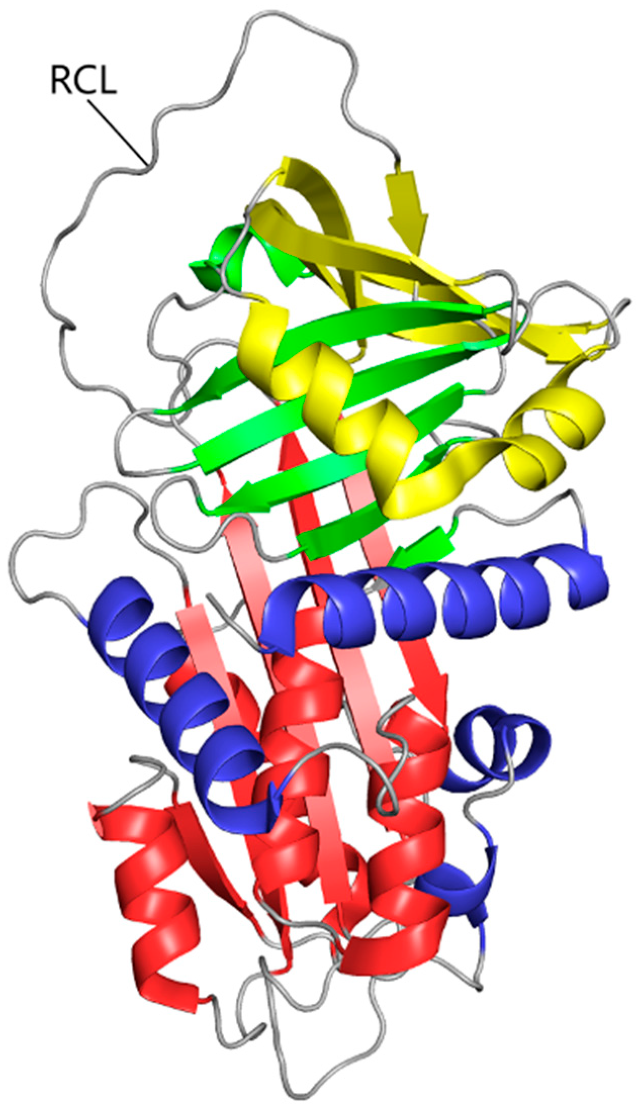 Cells 14 00088 g001 Cells 14 00088 g001