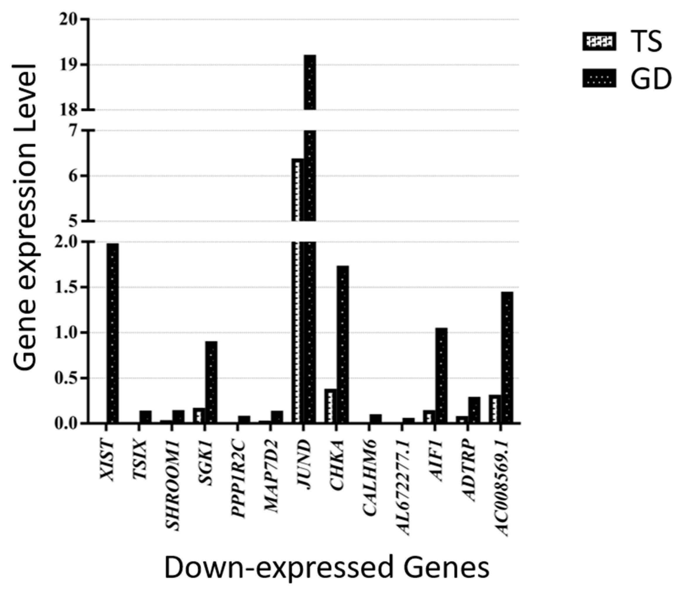 Cells 14 00093 g006 Cells 14 00093 g006