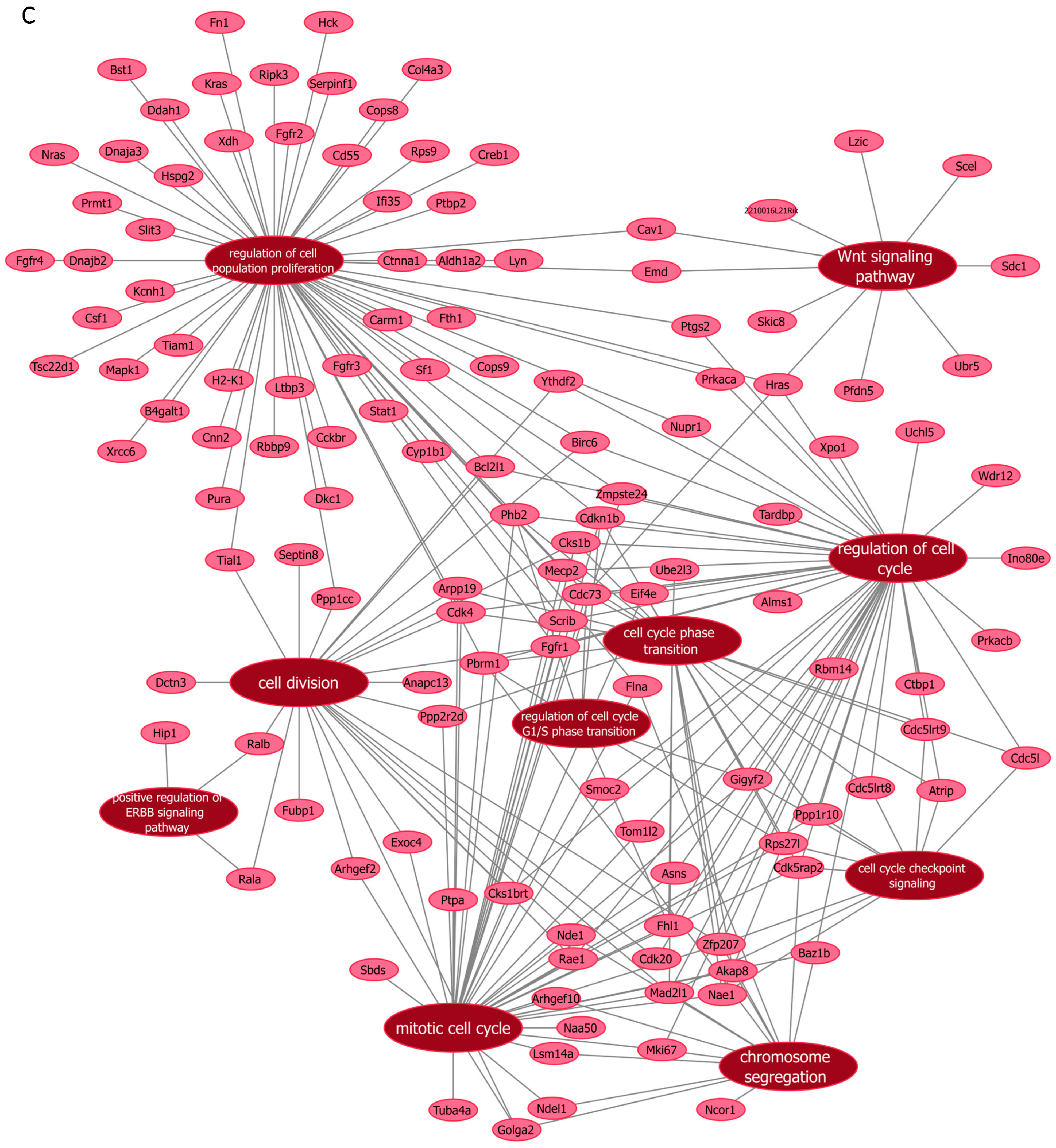 Cells 14 00125 g006c