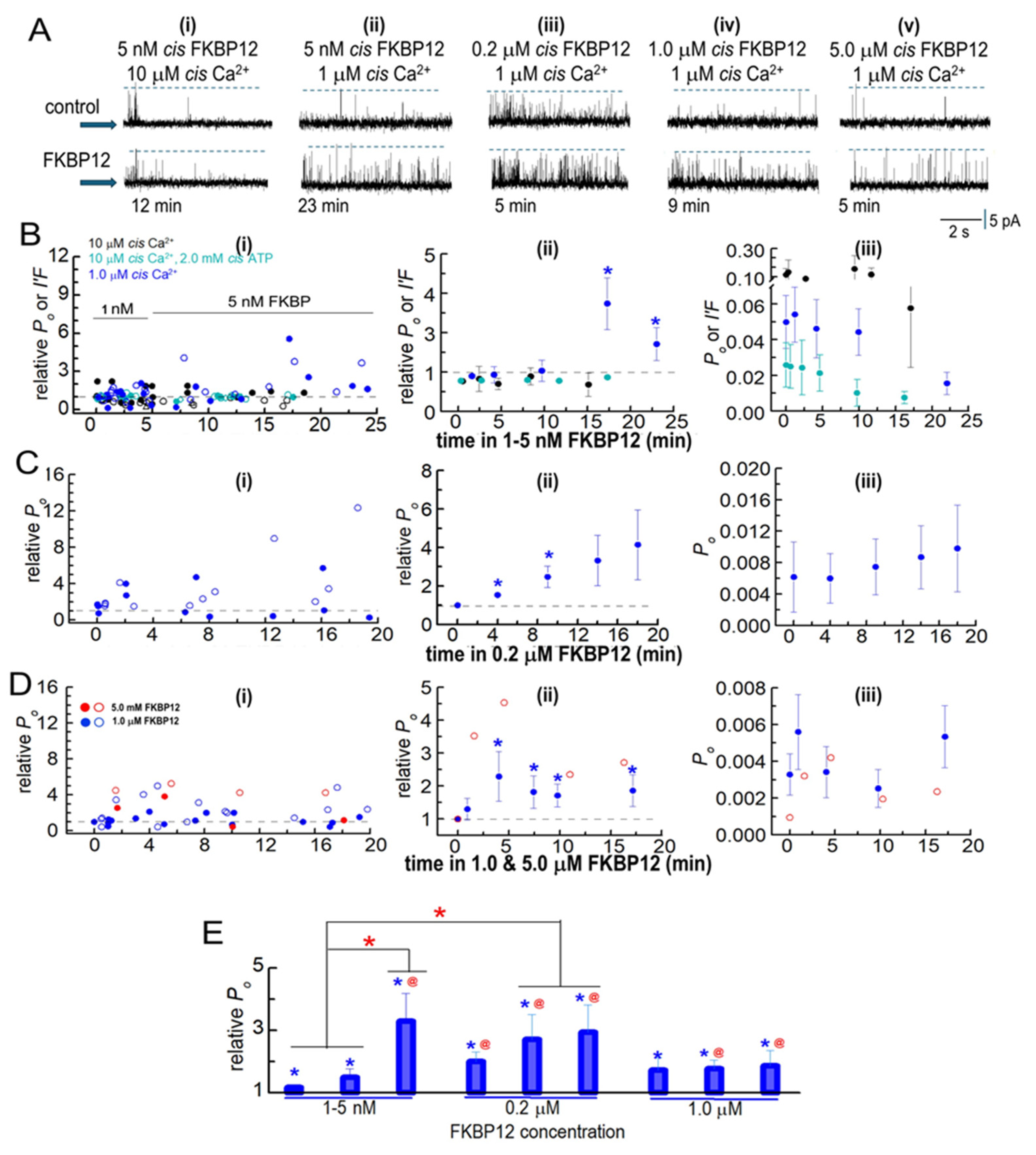 Cells 14 00157 g003 Cells 14 00157 g003