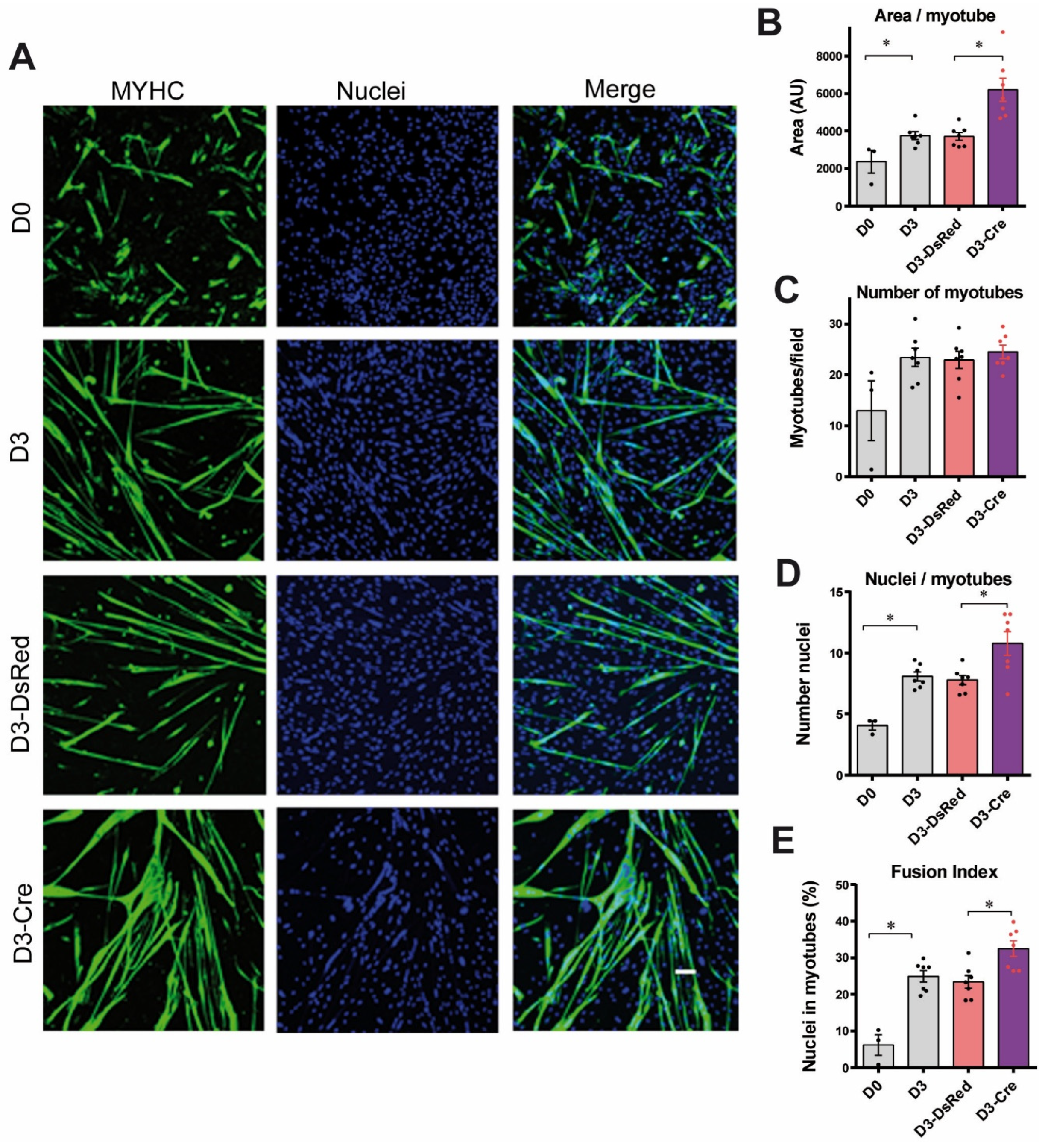 Cells 14 00158 g002 Cells 14 00158 g002