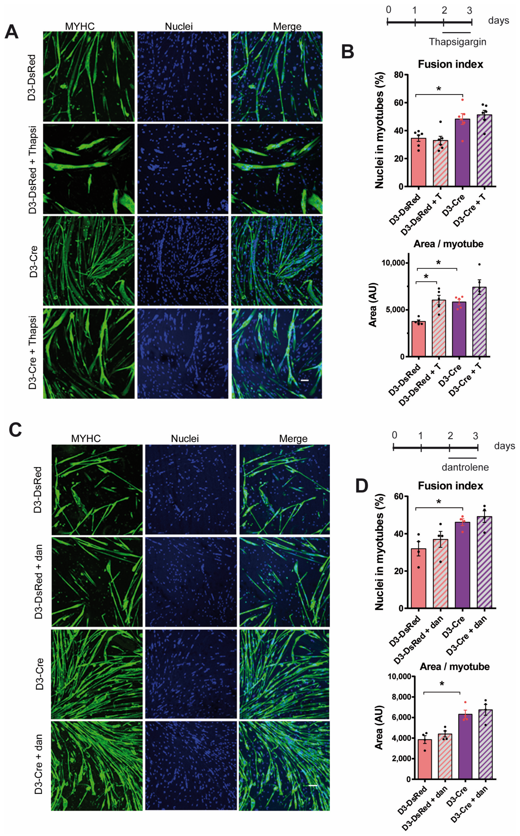 Cells 14 00158 g006 Cells 14 00158 g006