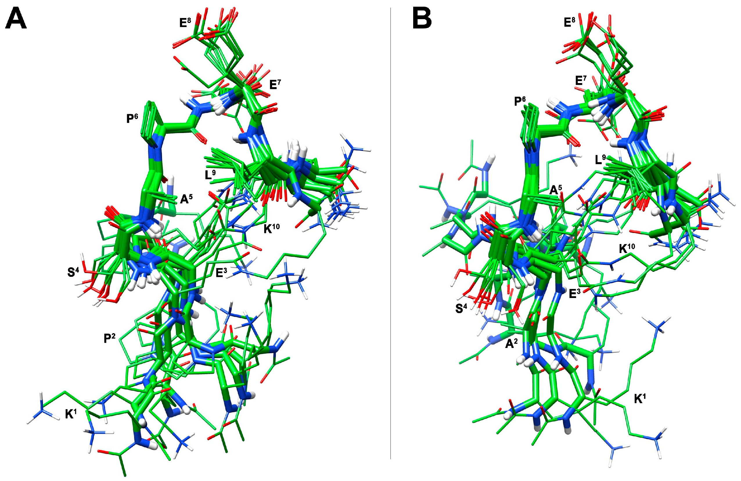 Cells 14 00259 g002 Cells 14 00259 g002