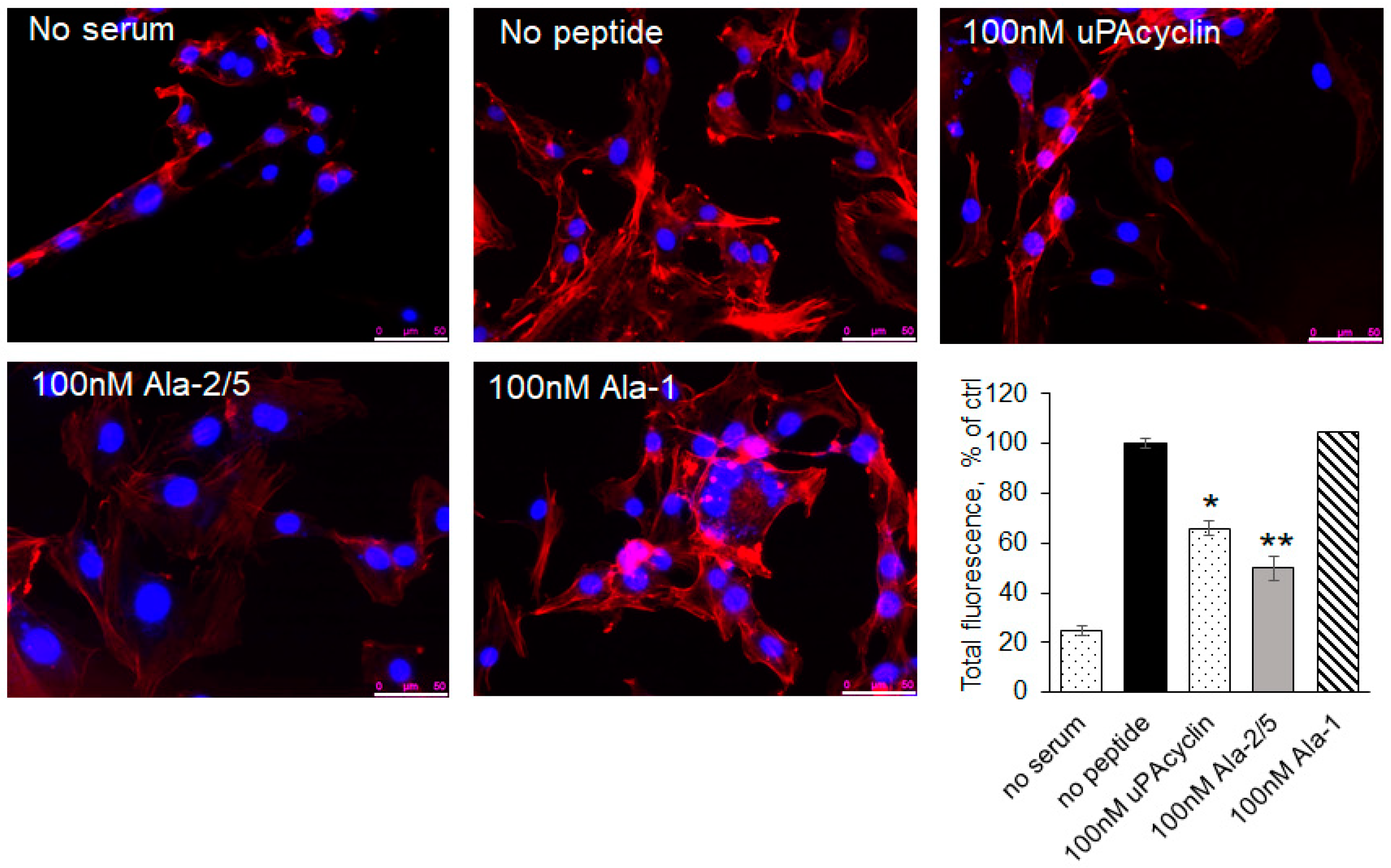 Cells 14 00259 g005 Cells 14 00259 g005