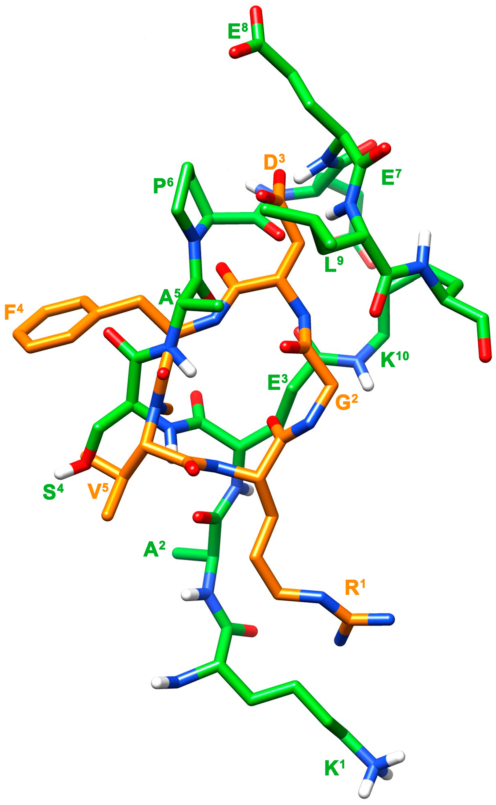 Cells 14 00259 g008 Cells 14 00259 g008