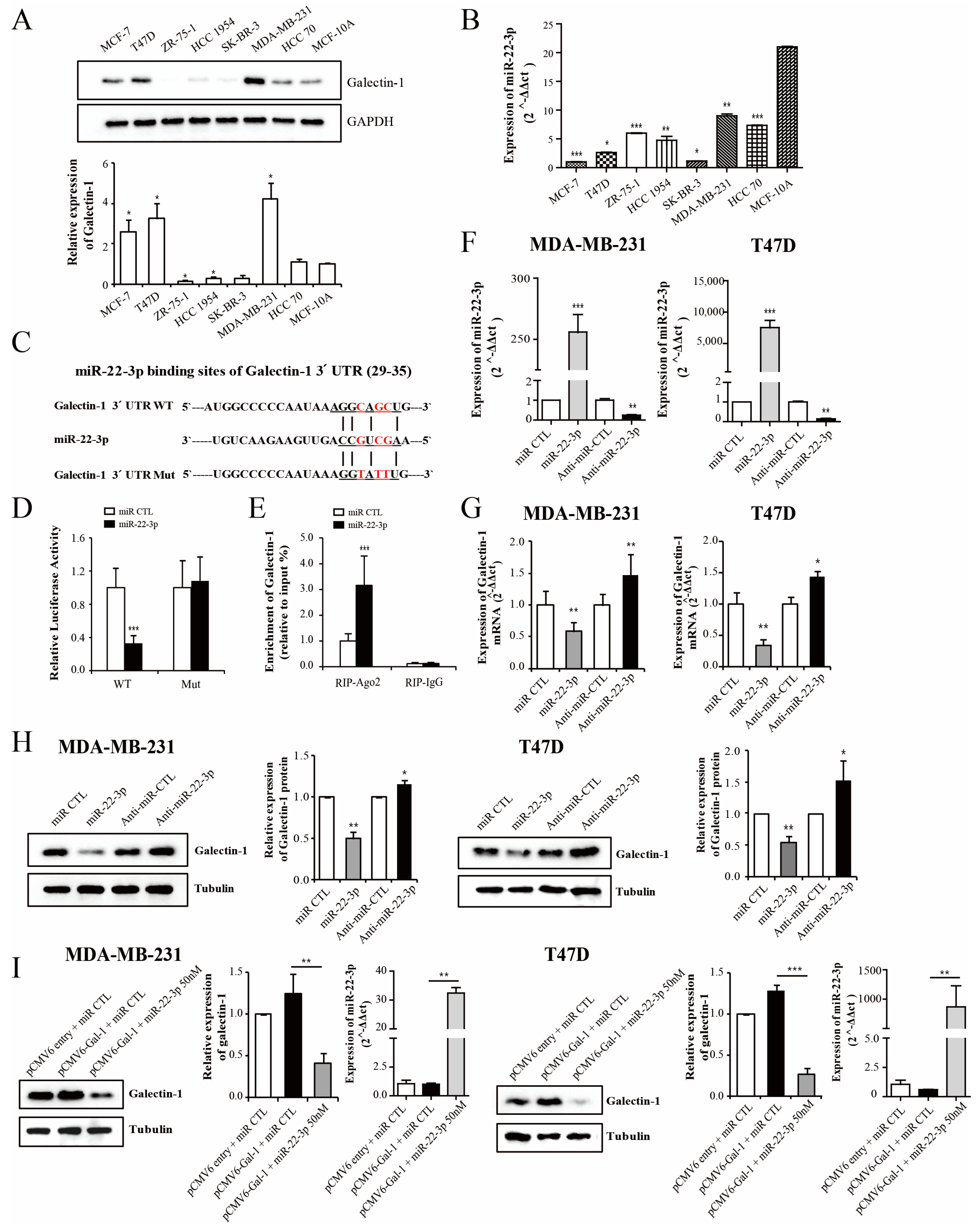 Cells 14 00310 g003 Cells 14 00310 g003