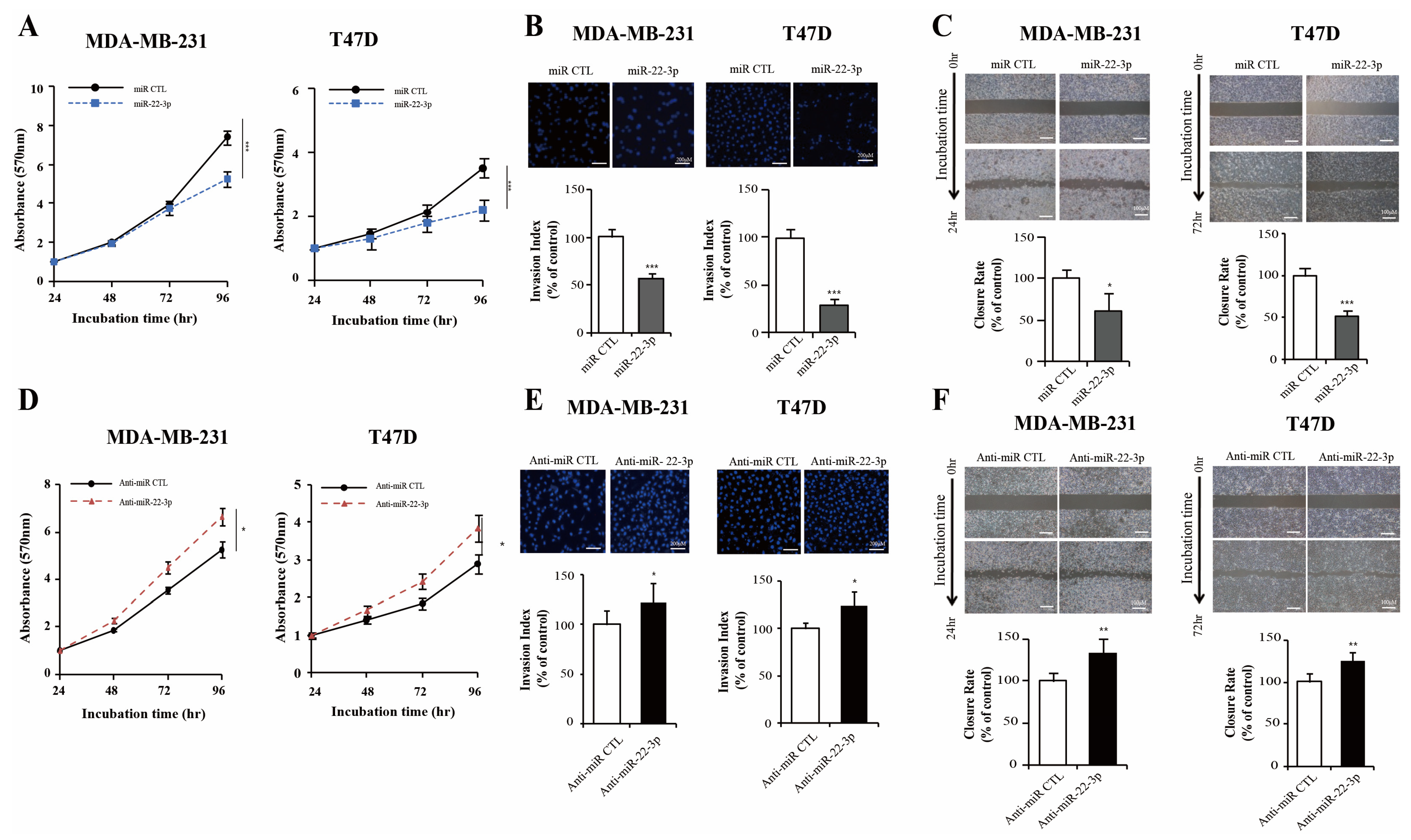 Cells 14 00310 g005 Cells 14 00310 g005