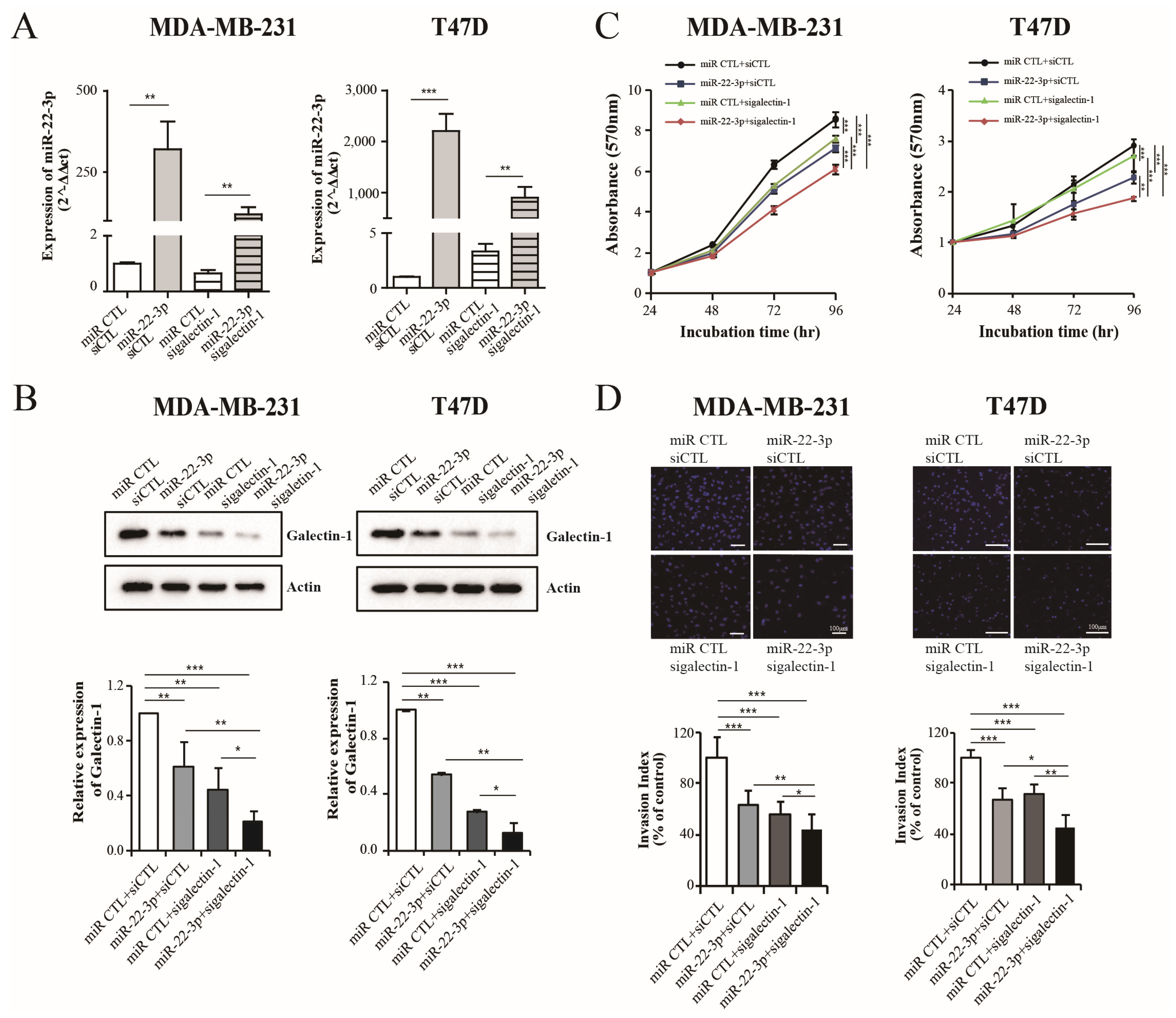 Cells 14 00310 g006 Cells 14 00310 g006