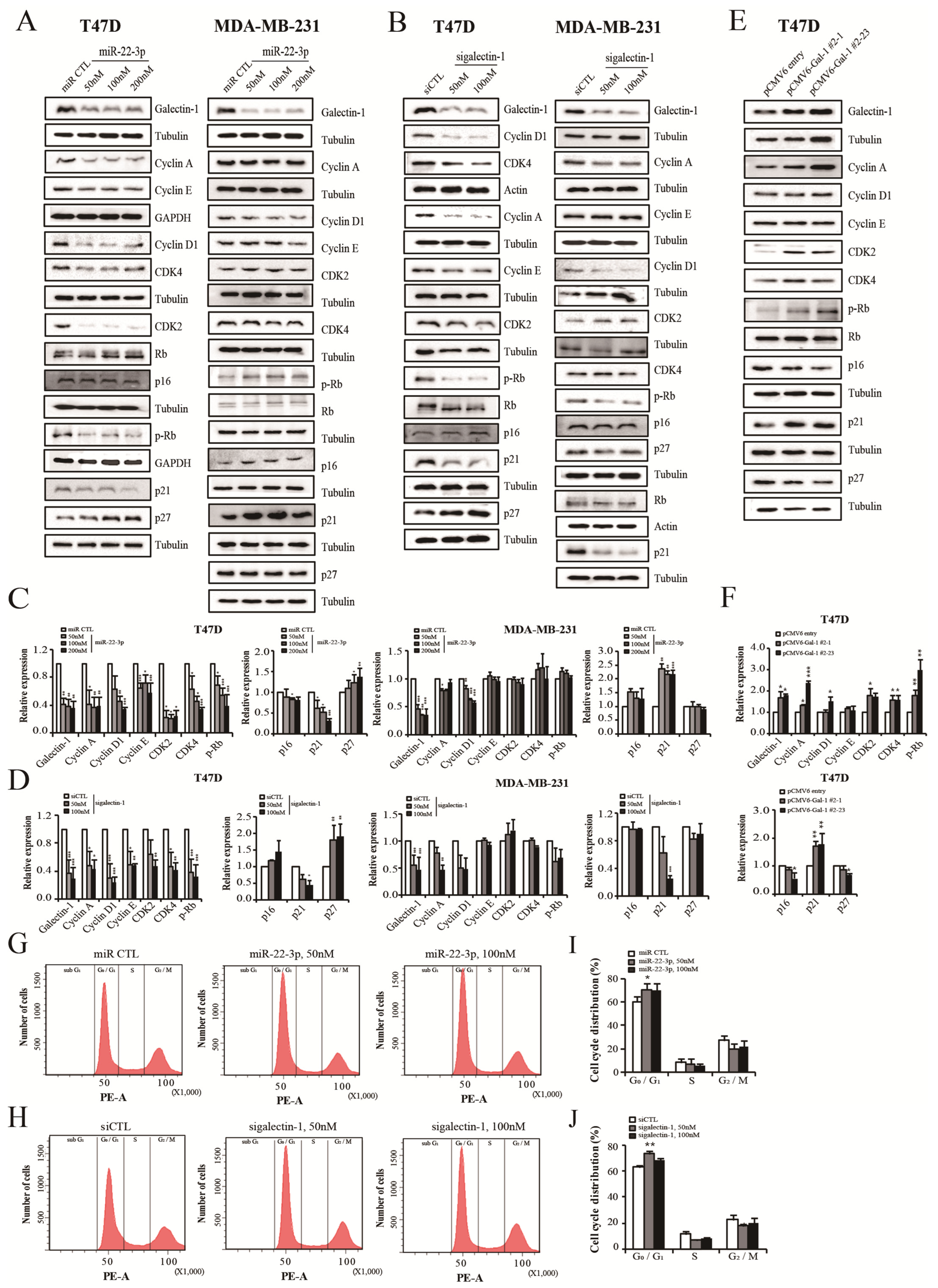 Cells 14 00310 g008 Cells 14 00310 g008