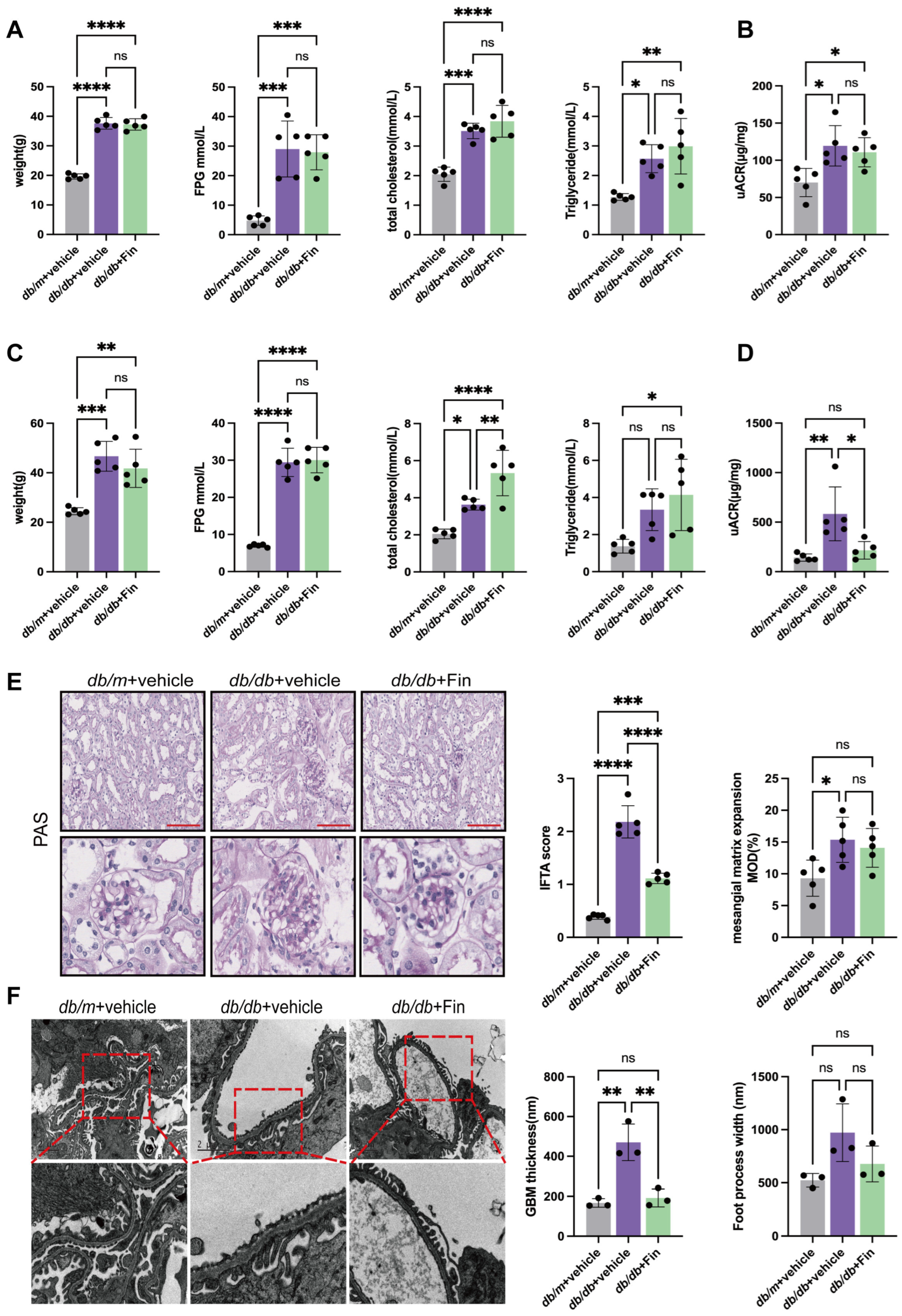 Cells 14 00337 g001