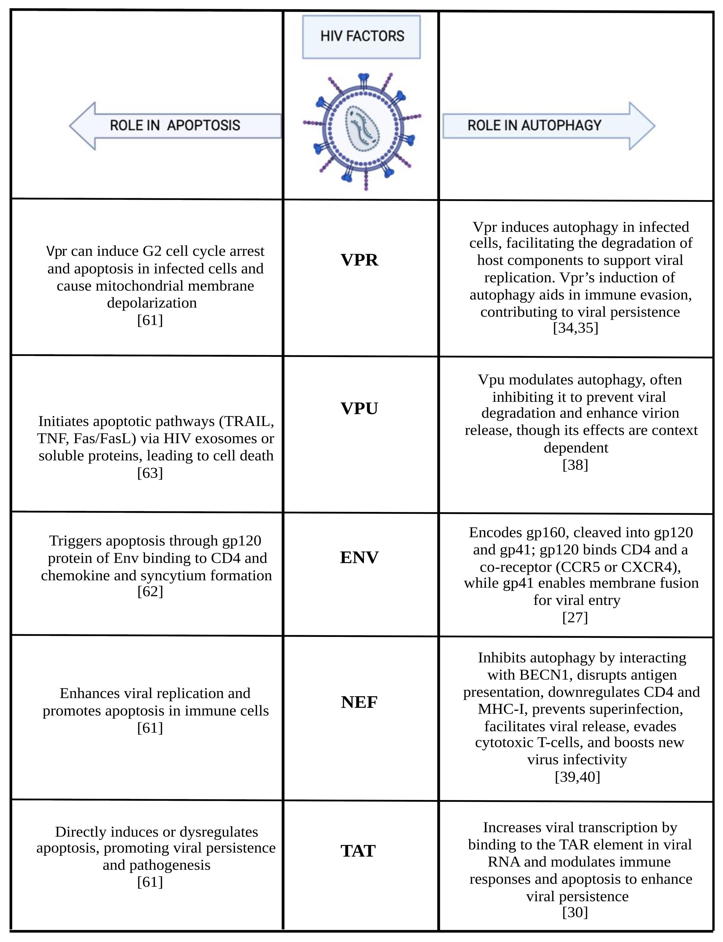 Cells 14 00351 g001 Cells 14 00351 g001