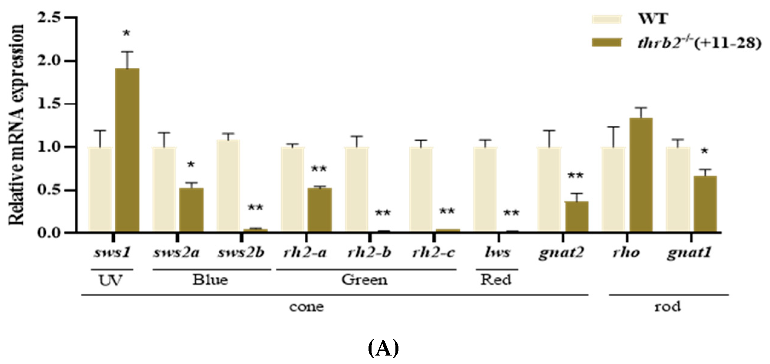 Cells 14 00386 g002a Cells 14 00386 g002a